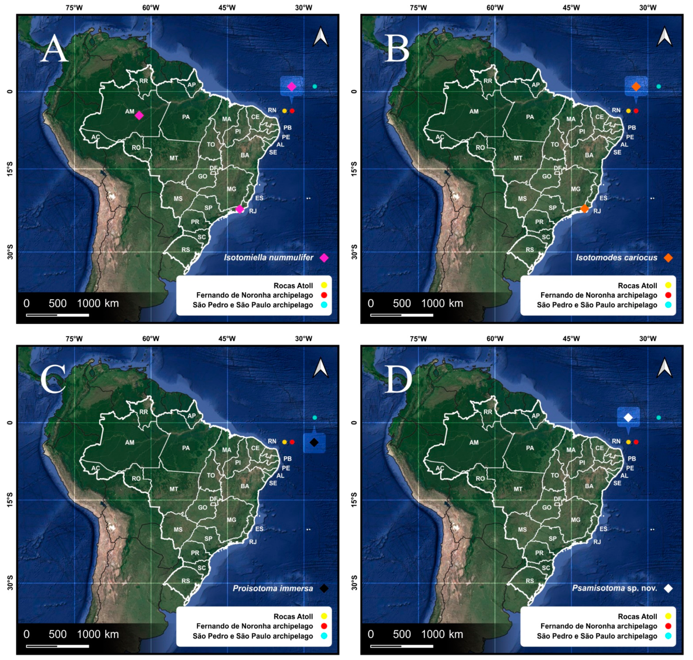 Diversity 14 00553 g004 Diversity 14 00553 g004