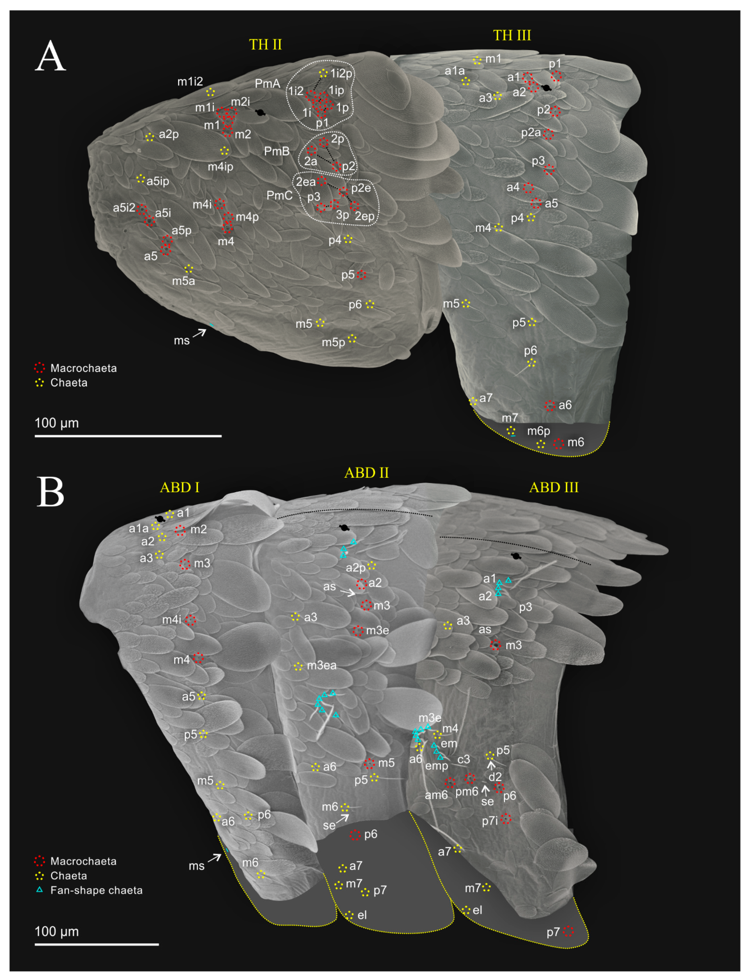 Diversity 14 00553 g010 Diversity 14 00553 g010