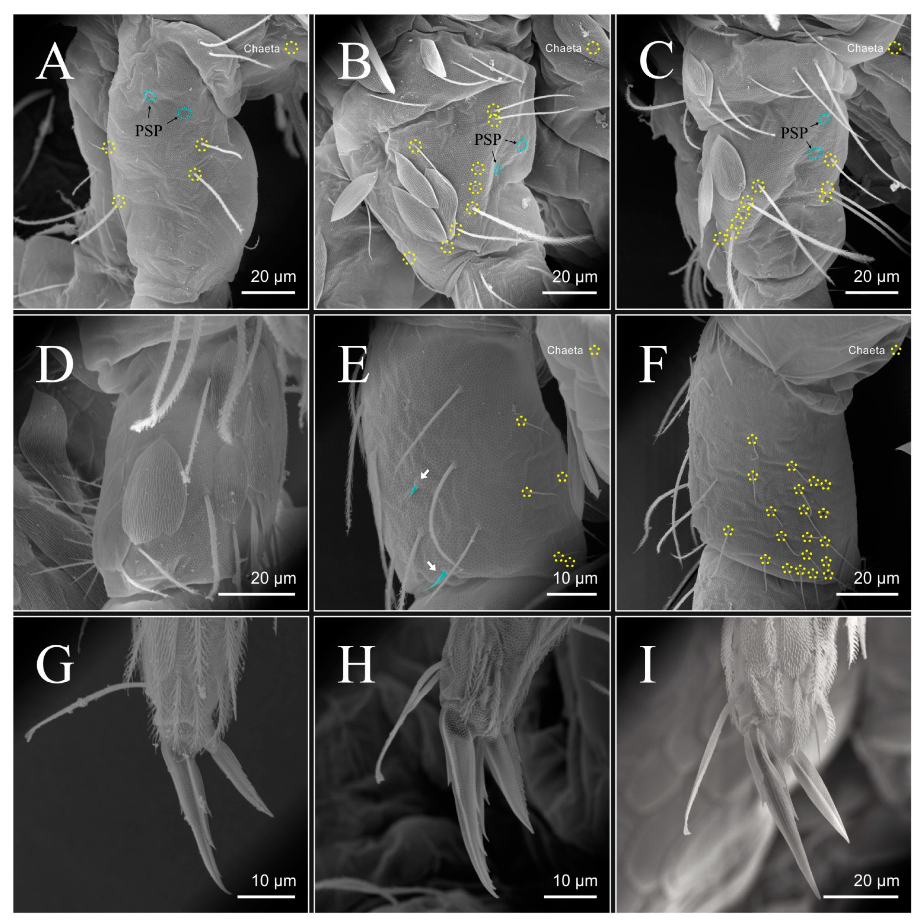 Diversity 14 00553 g012 Diversity 14 00553 g012