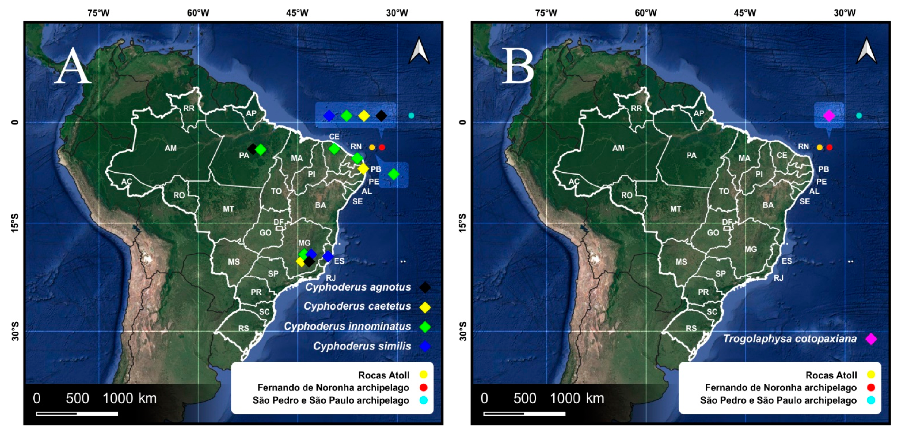 Diversity 14 00553 g015 Diversity 14 00553 g015
