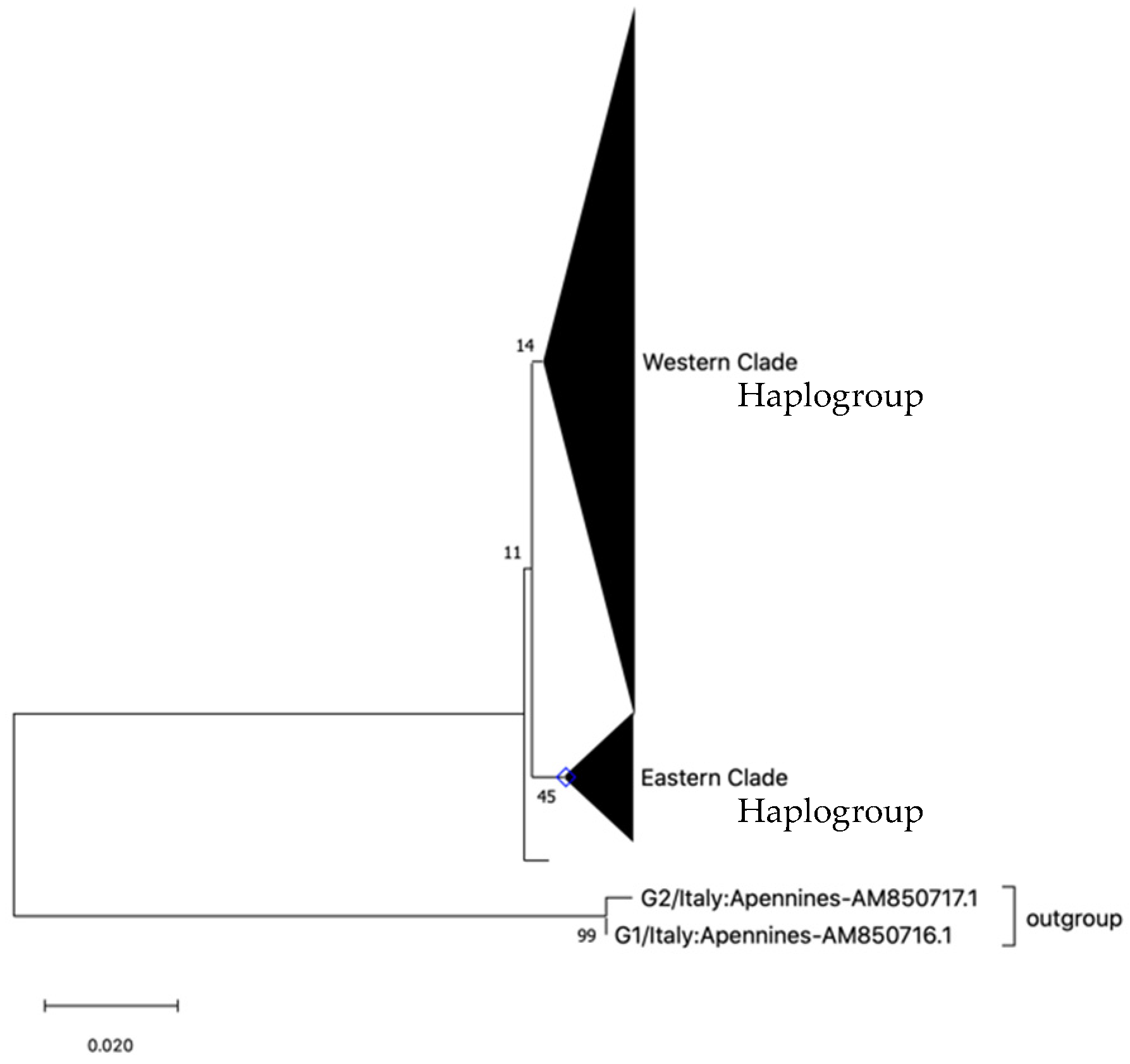 Diversity 14 00571 g001