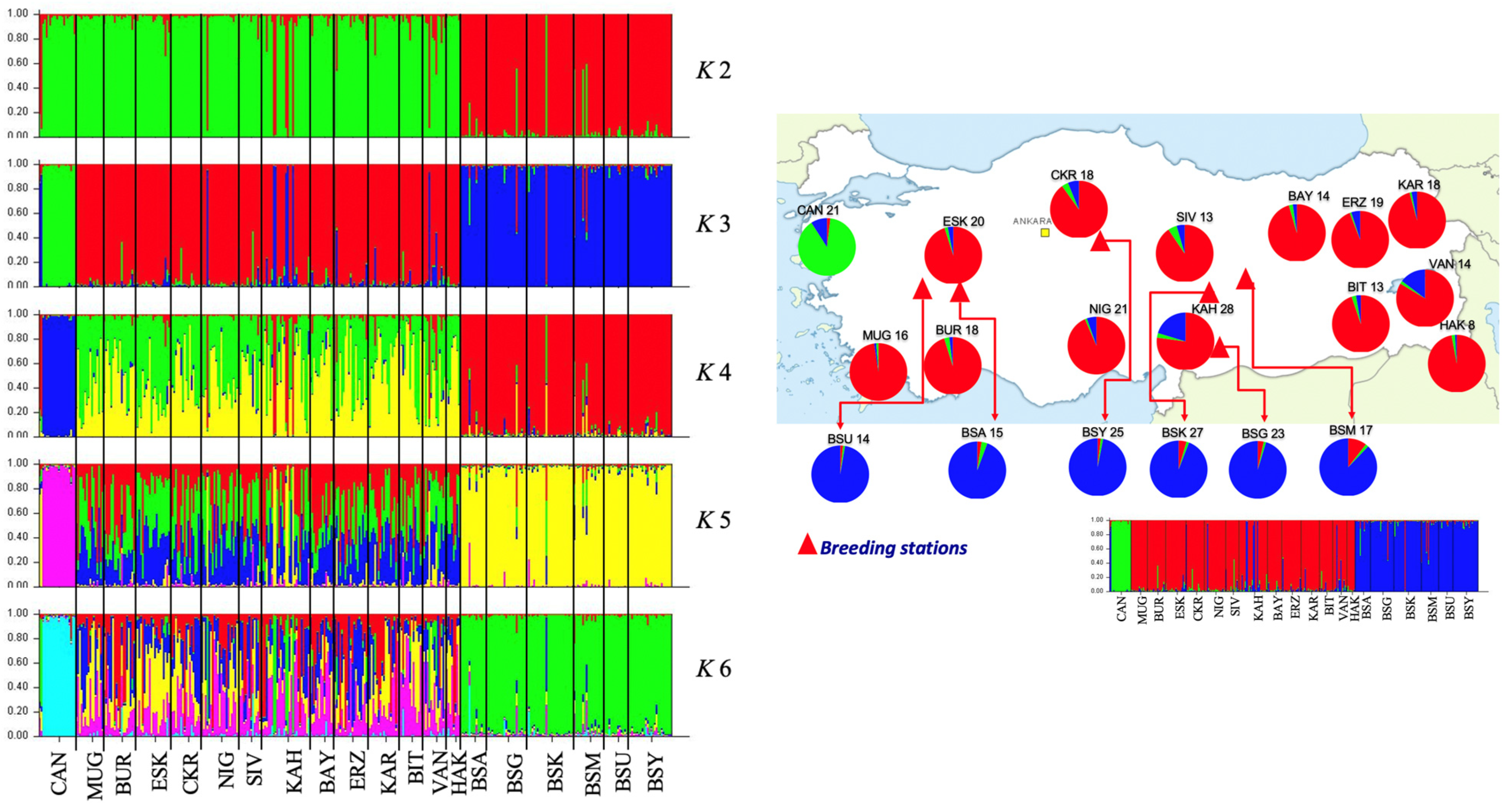 Diversity 14 00571 g006