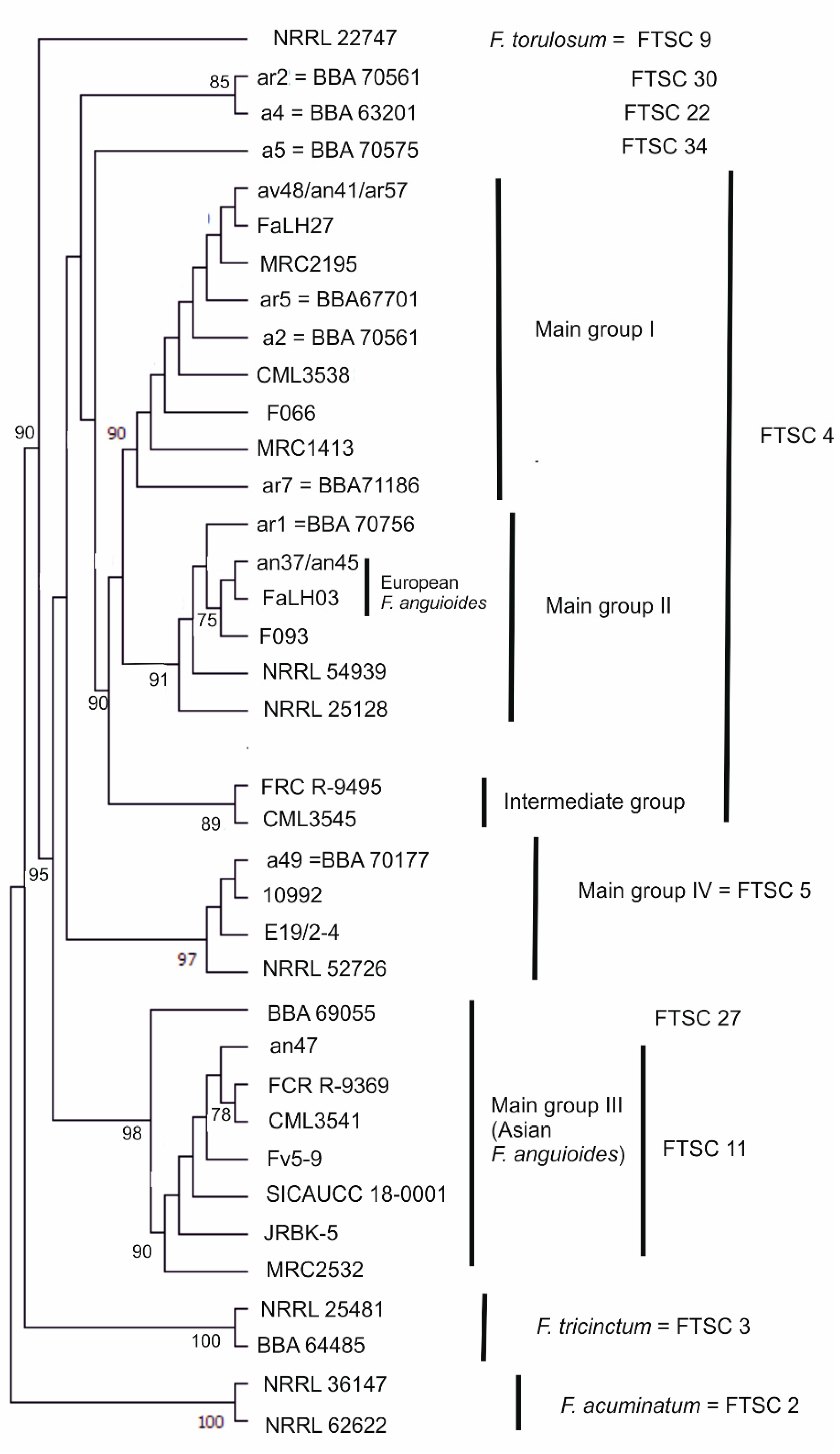 Diversity 14 00574 g001