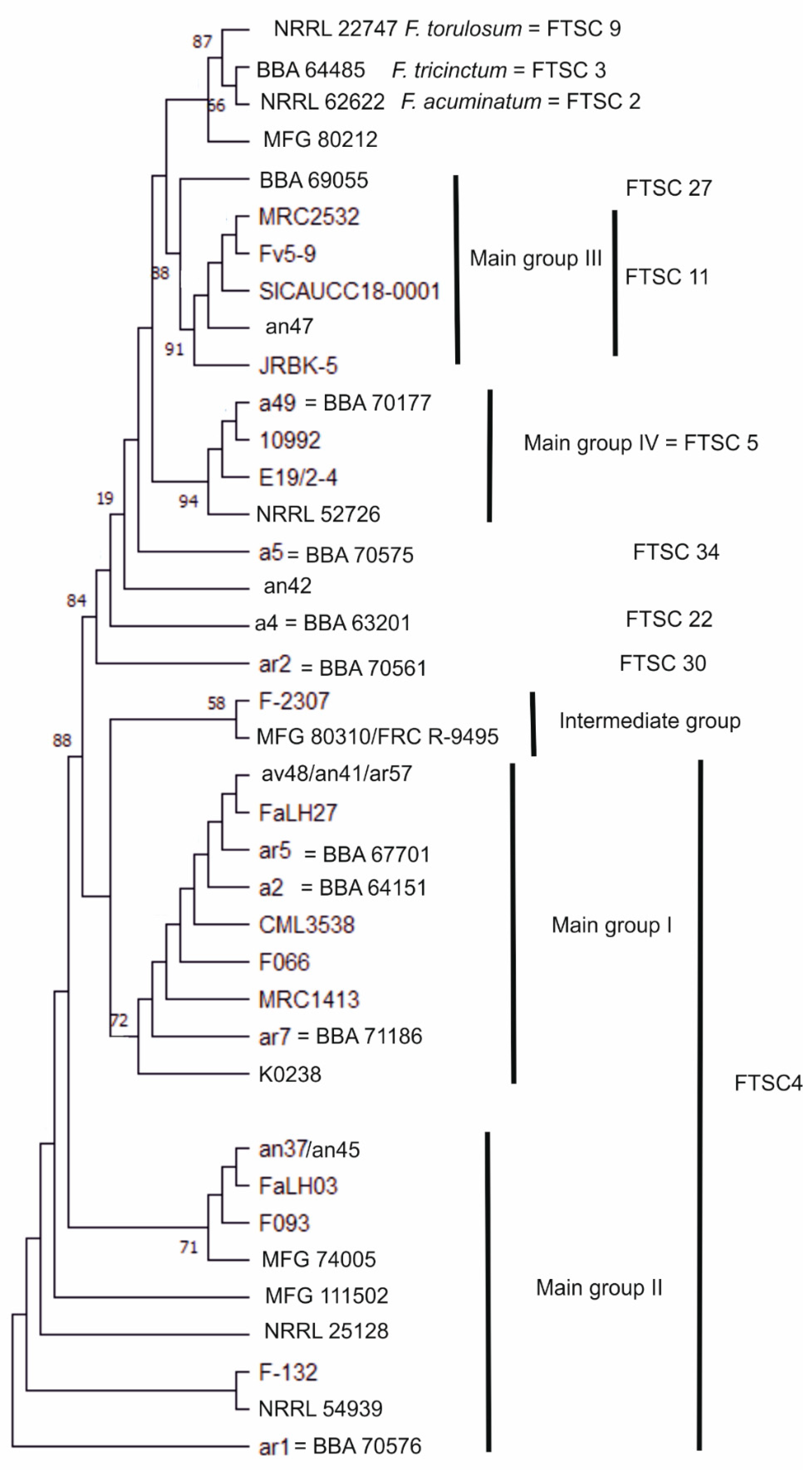 Diversity 14 00574 g003