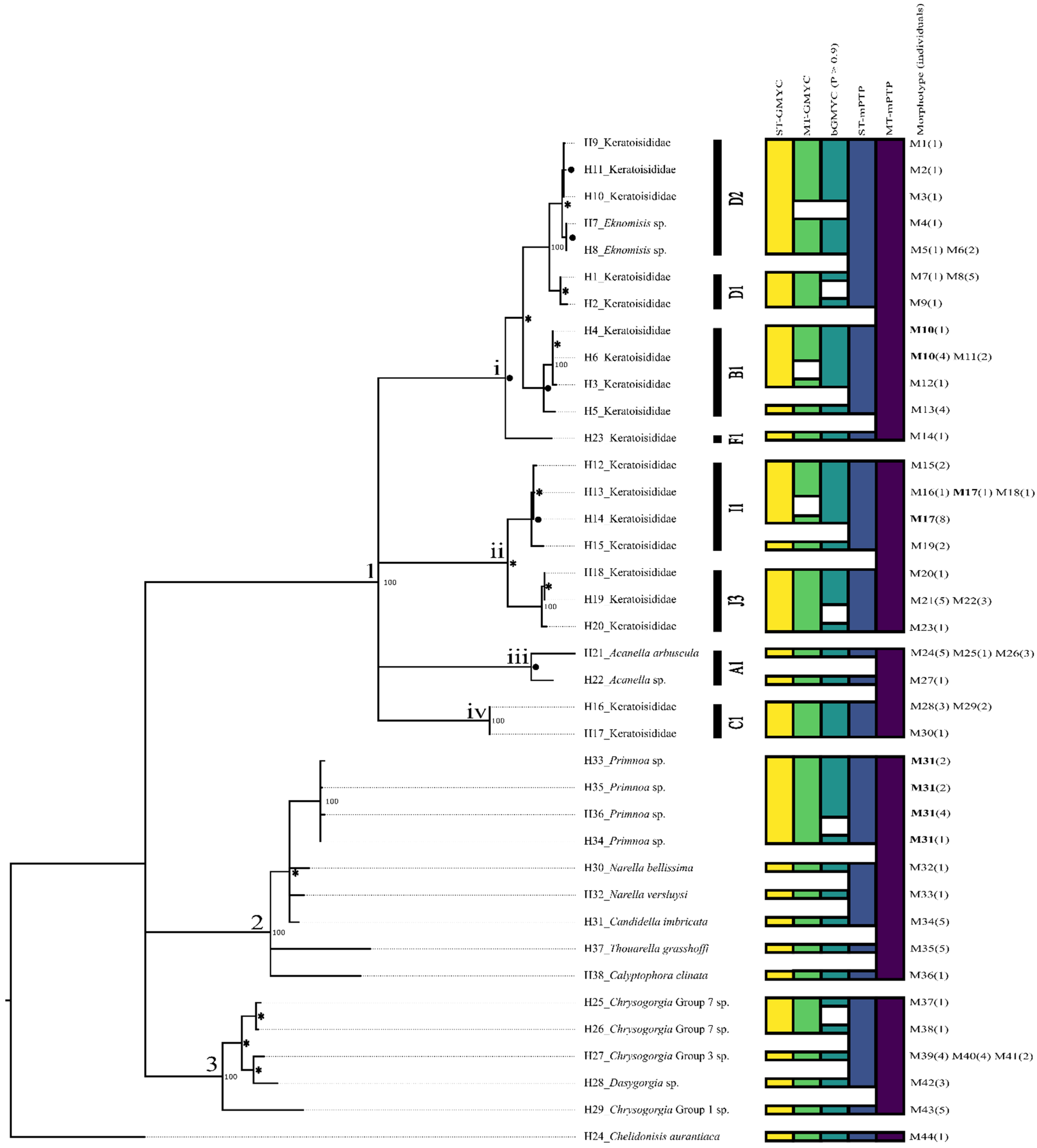 Diversity 14 00576 g006