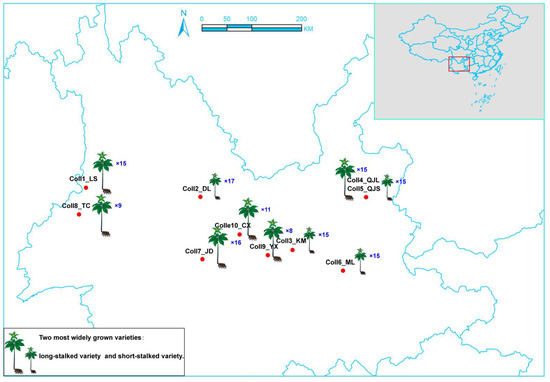 Development of EST-SSR Markers Related to Polyphyllin