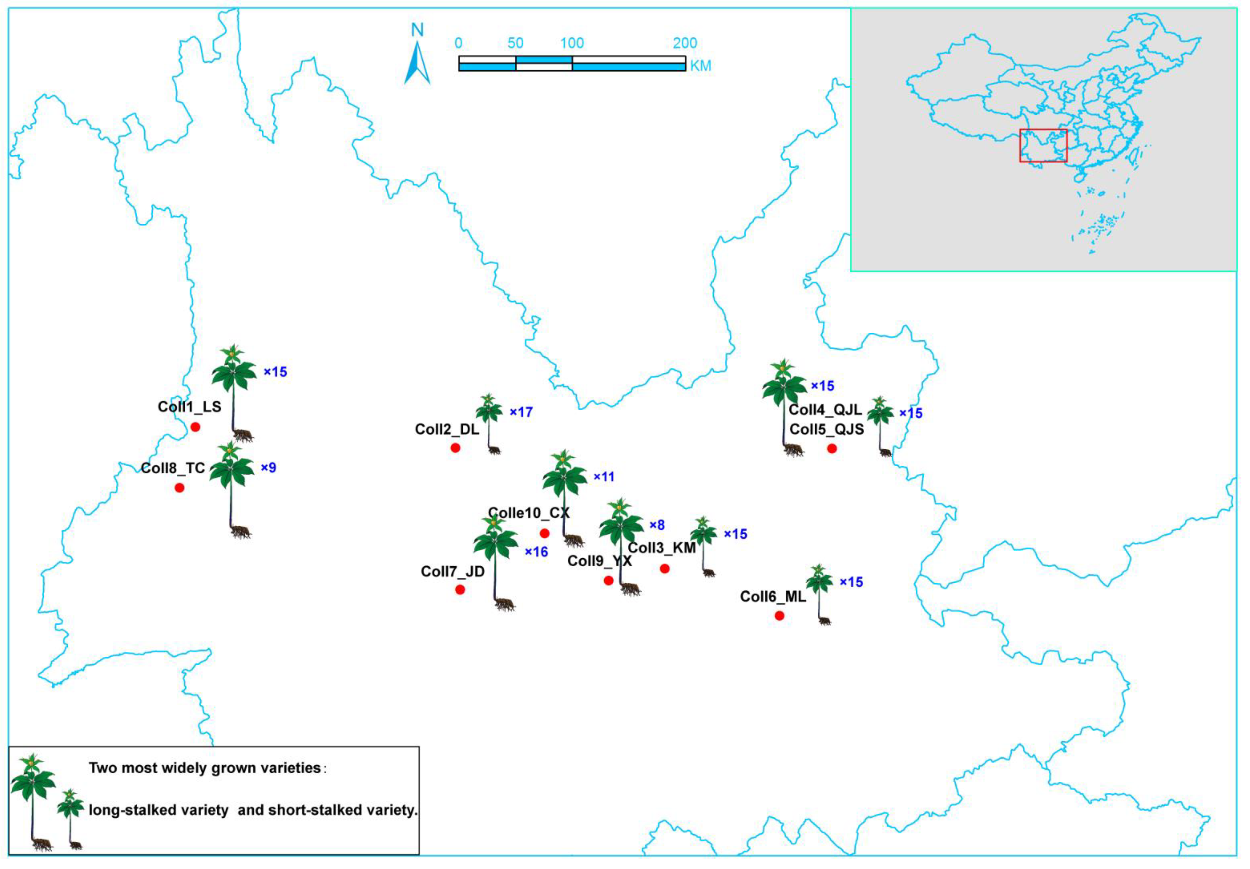 Diversity 14 00589 g001