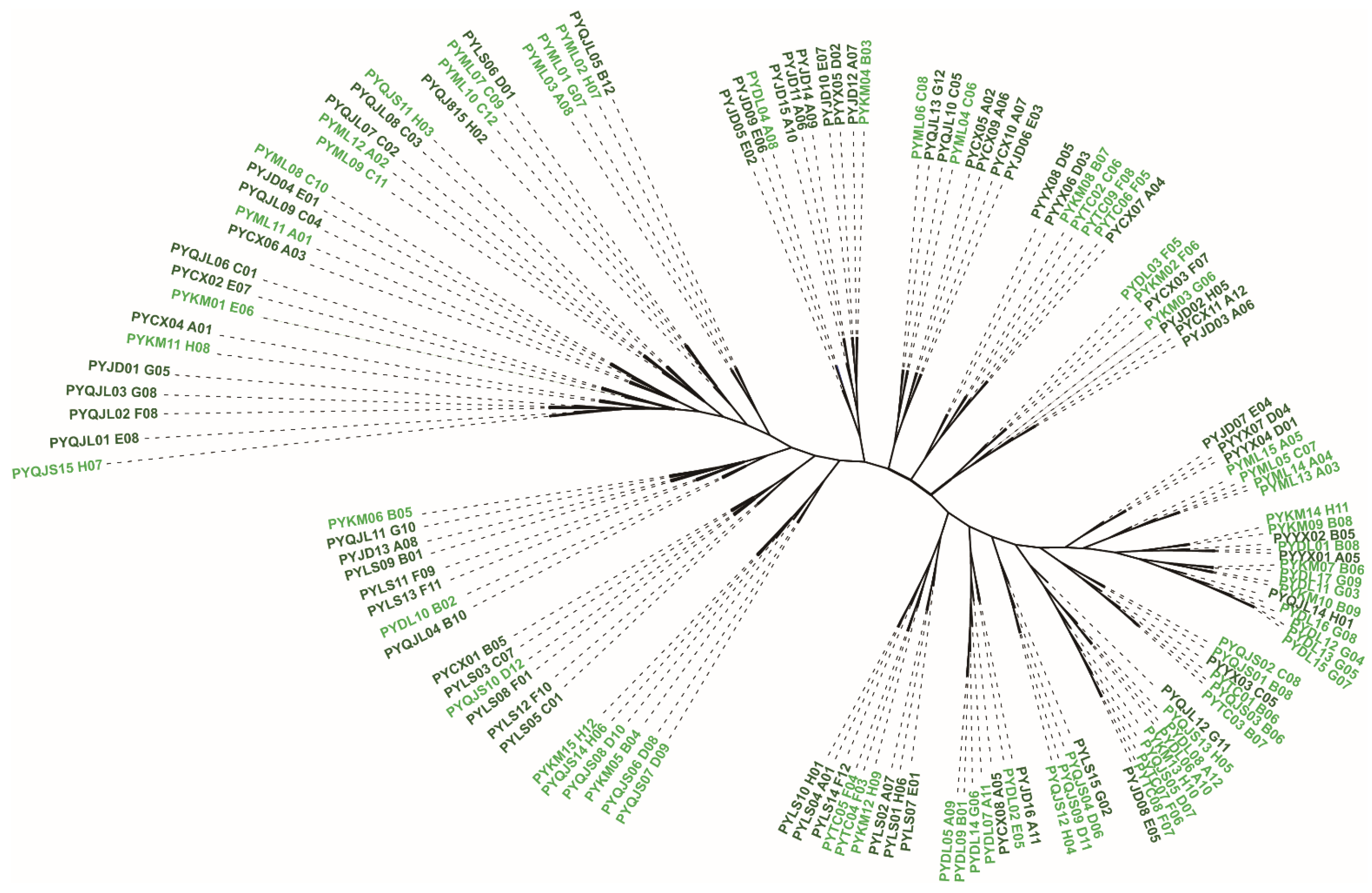 Diversity 14 00589 g005