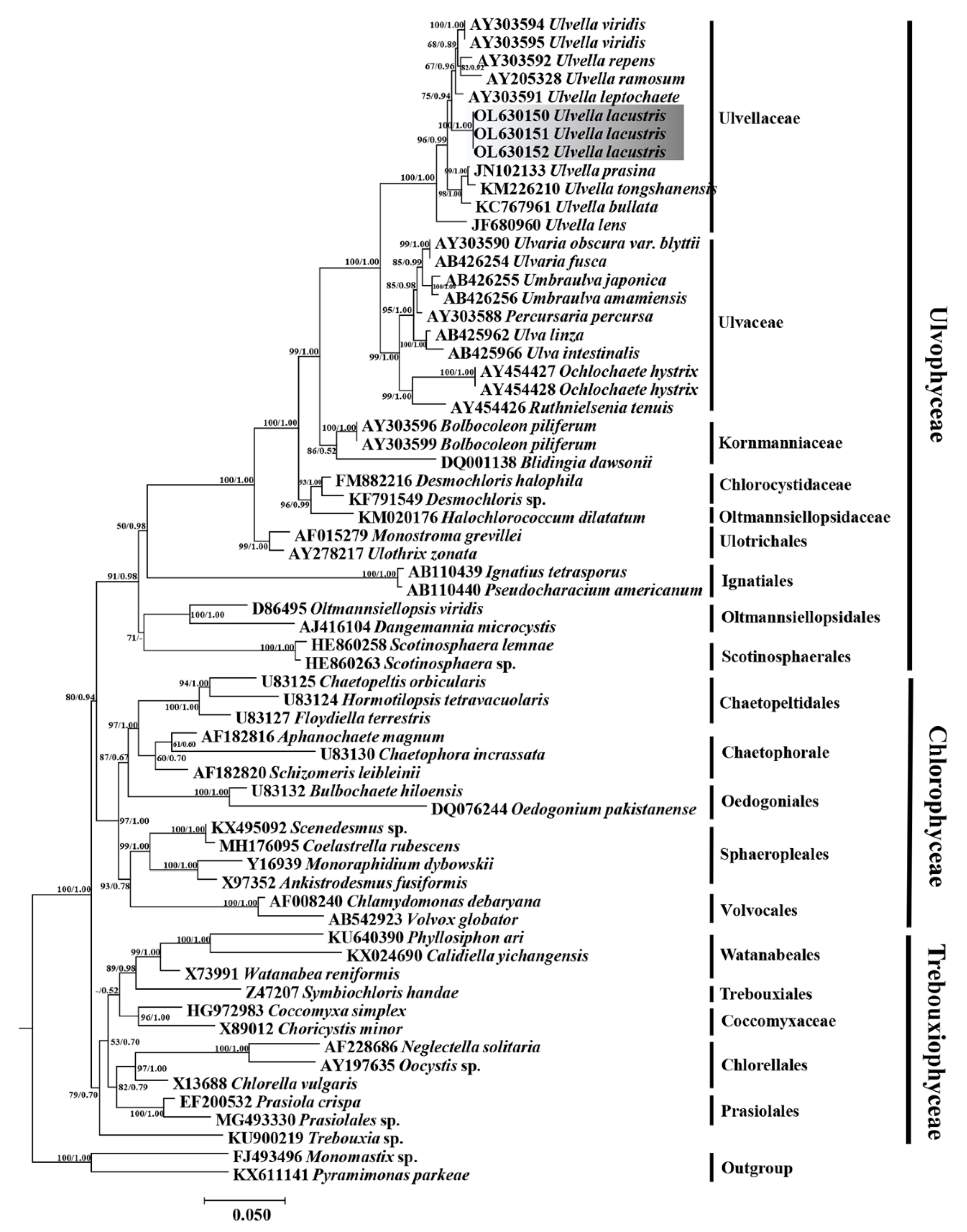 Diversity 14 00594 g004 Diversity 14 00594 g004
