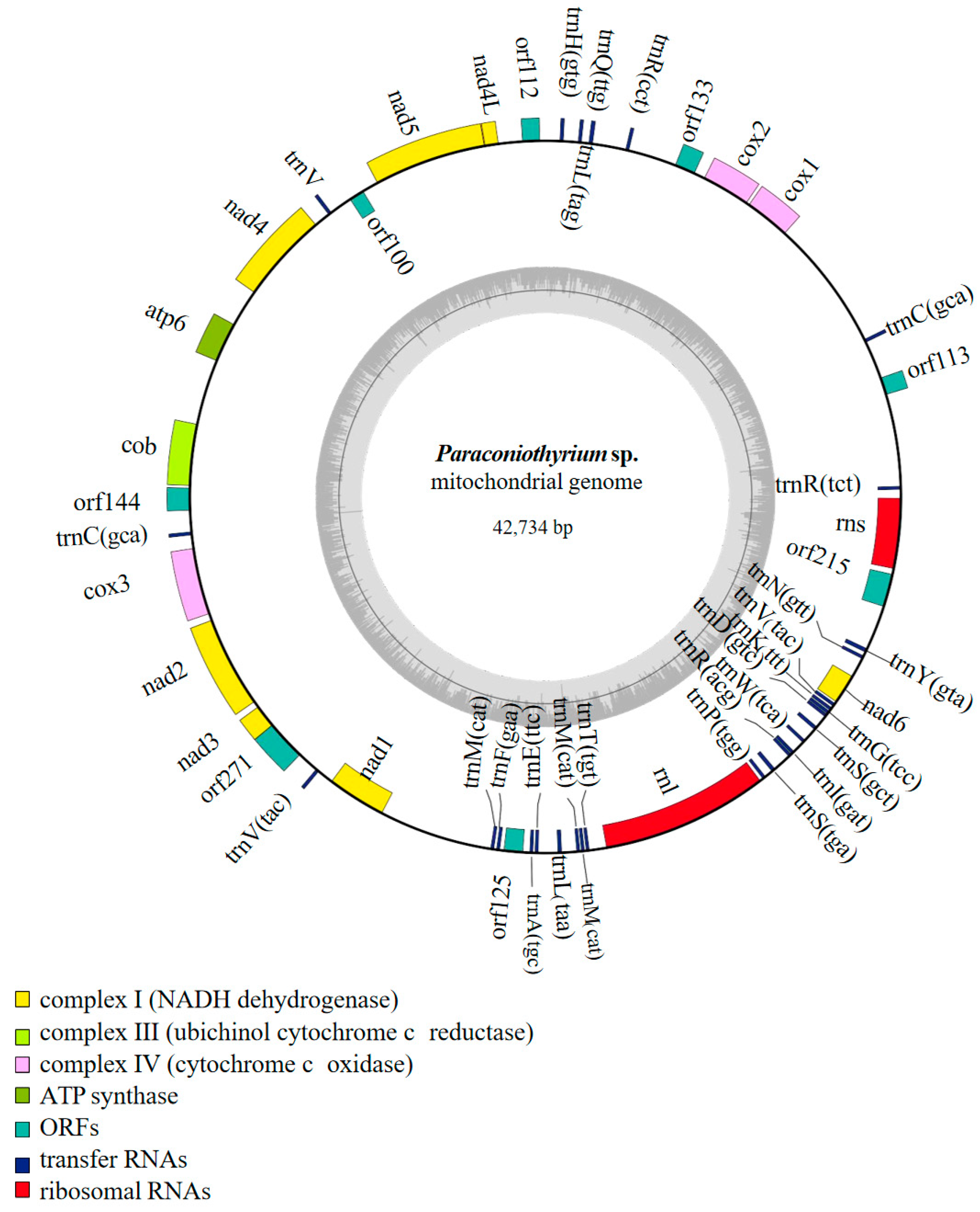 Diversity 14 00601 g001 Diversity 14 00601 g001