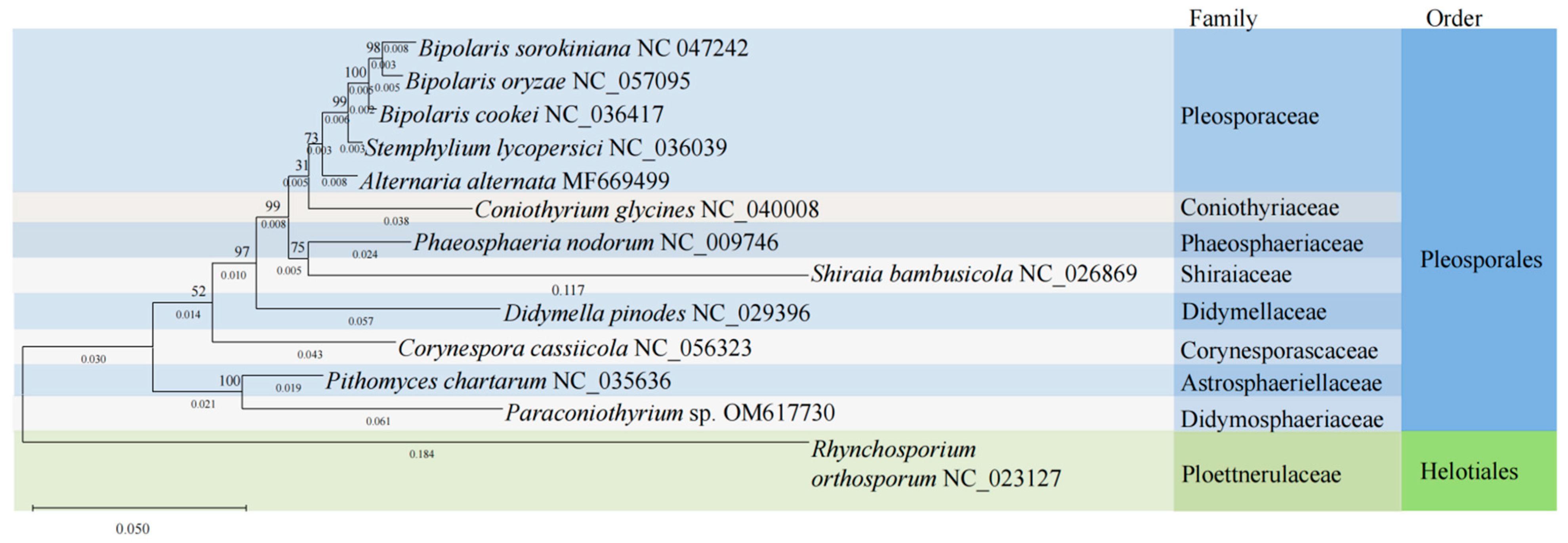 Diversity 14 00601 g003 Diversity 14 00601 g003