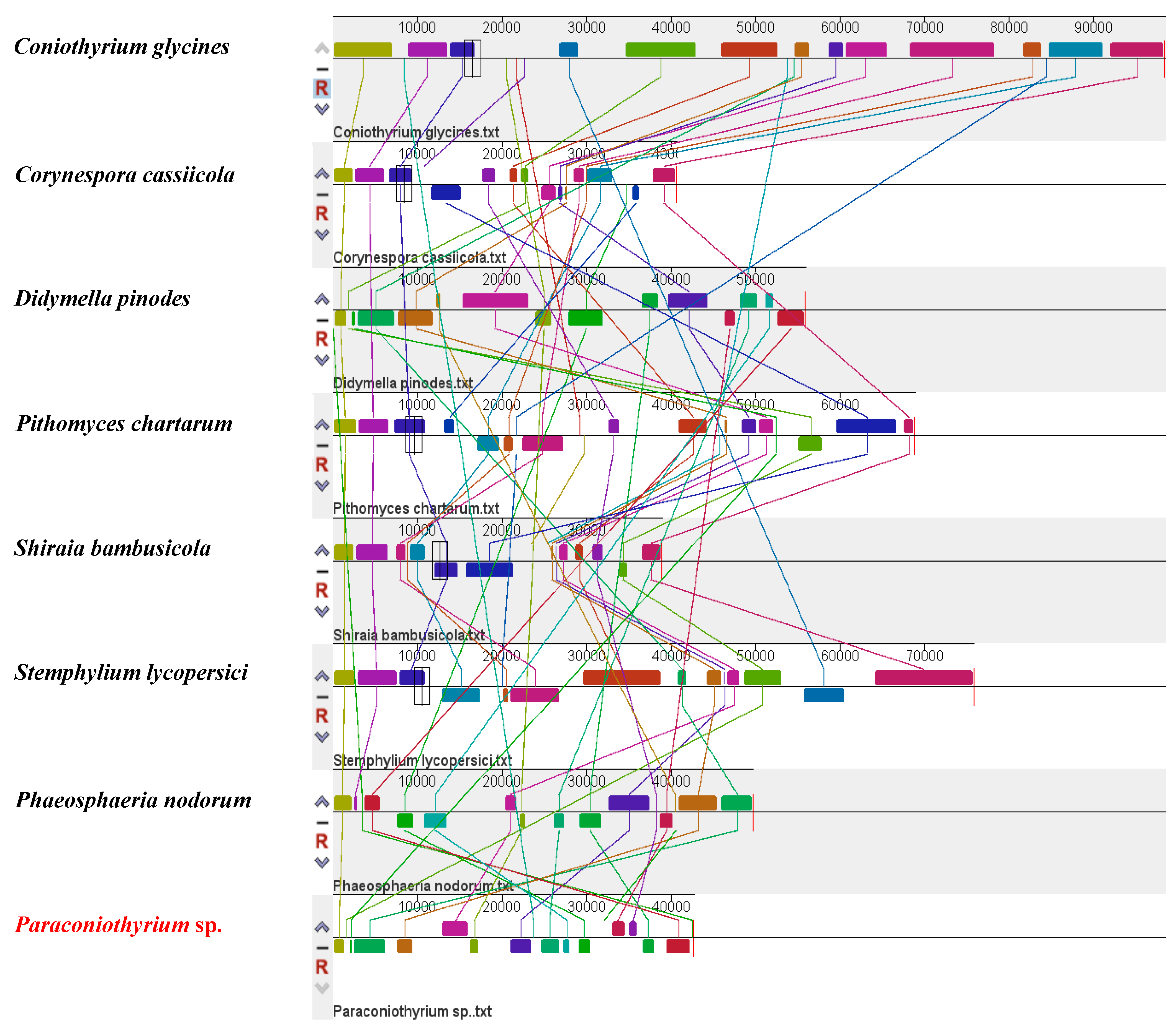 Diversity 14 00601 g004 Diversity 14 00601 g004