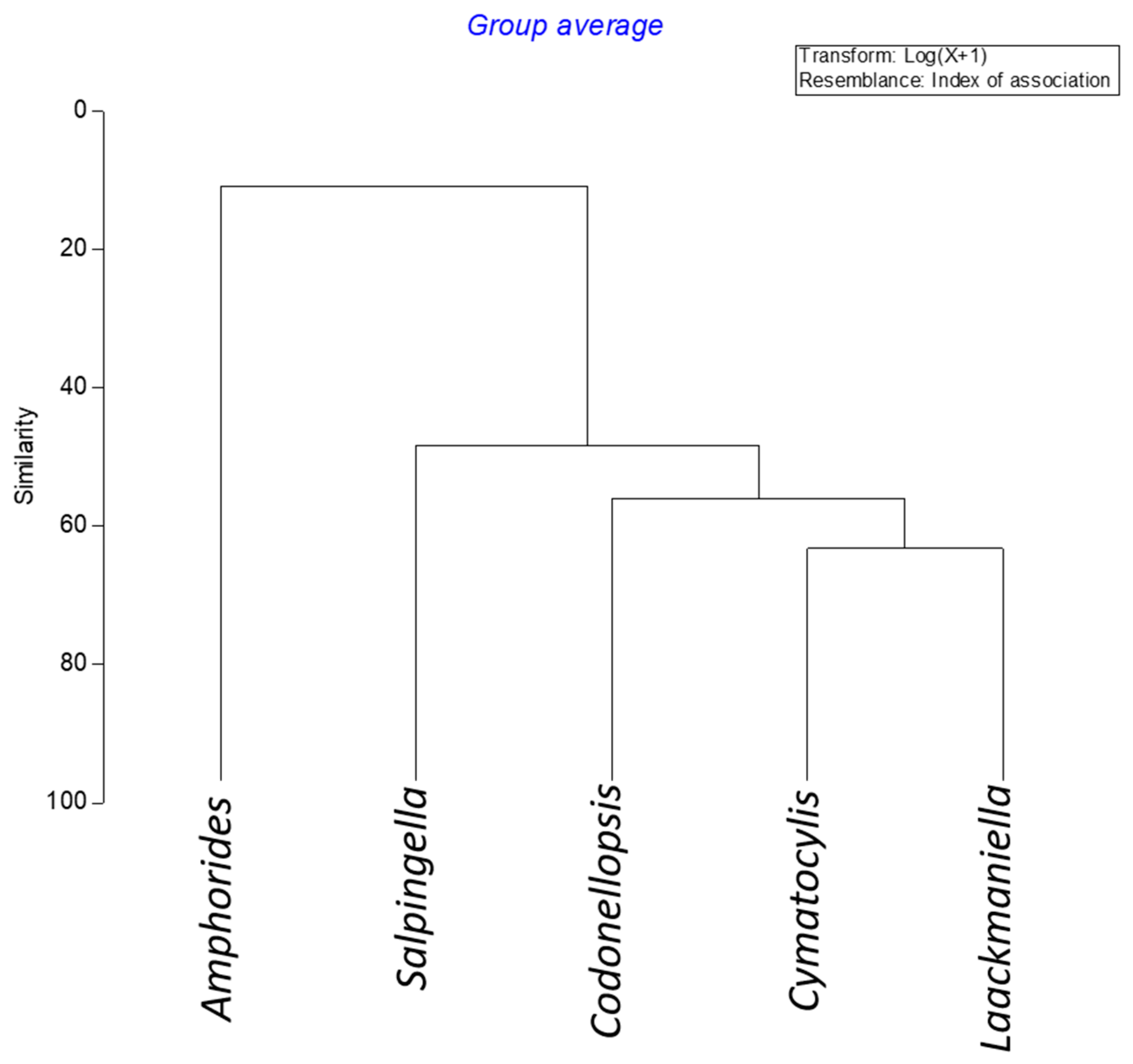 Diversity 14 00604 g007 Diversity 14 00604 g007