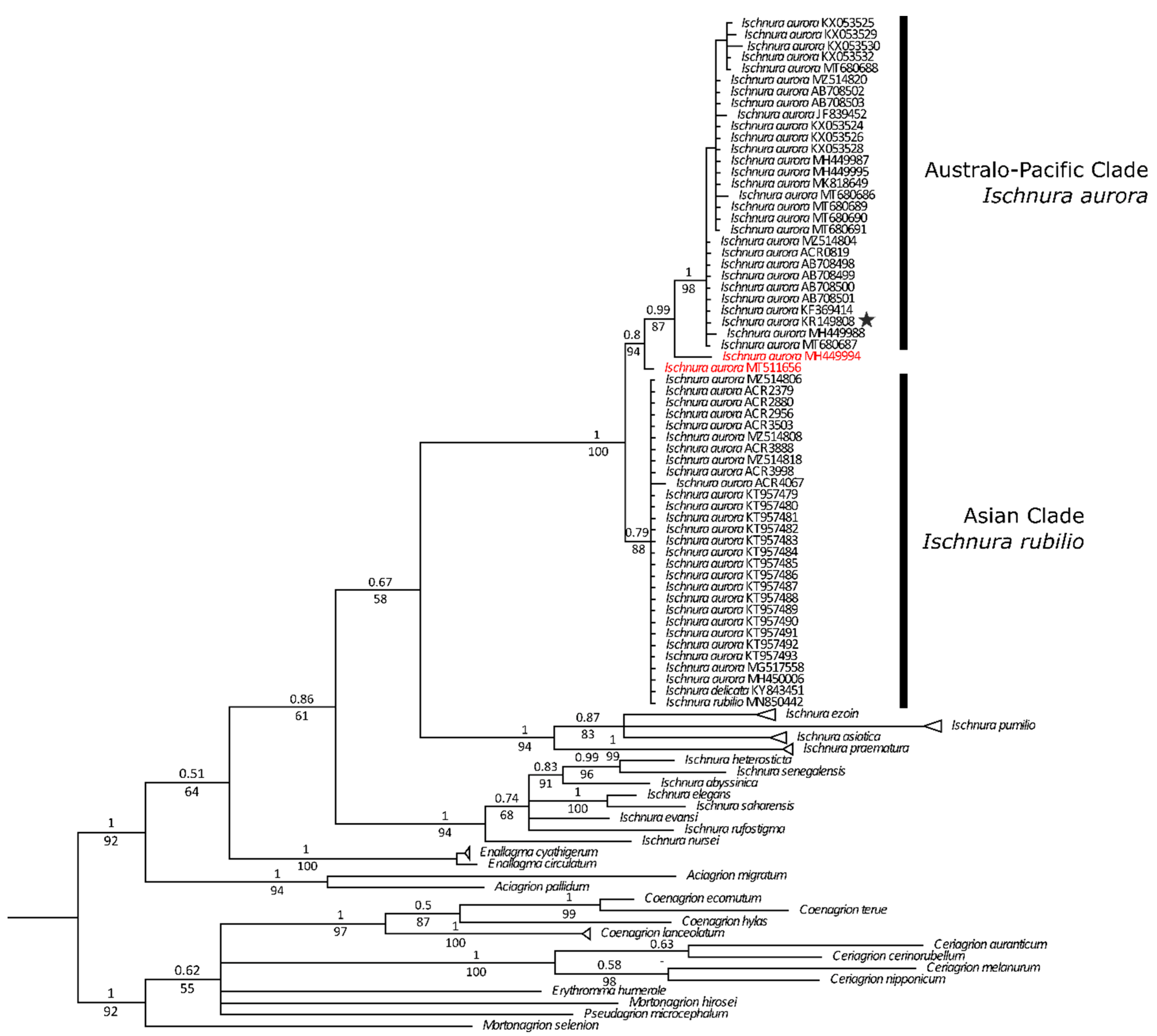 Diversity 14 00606 g002 Diversity 14 00606 g002