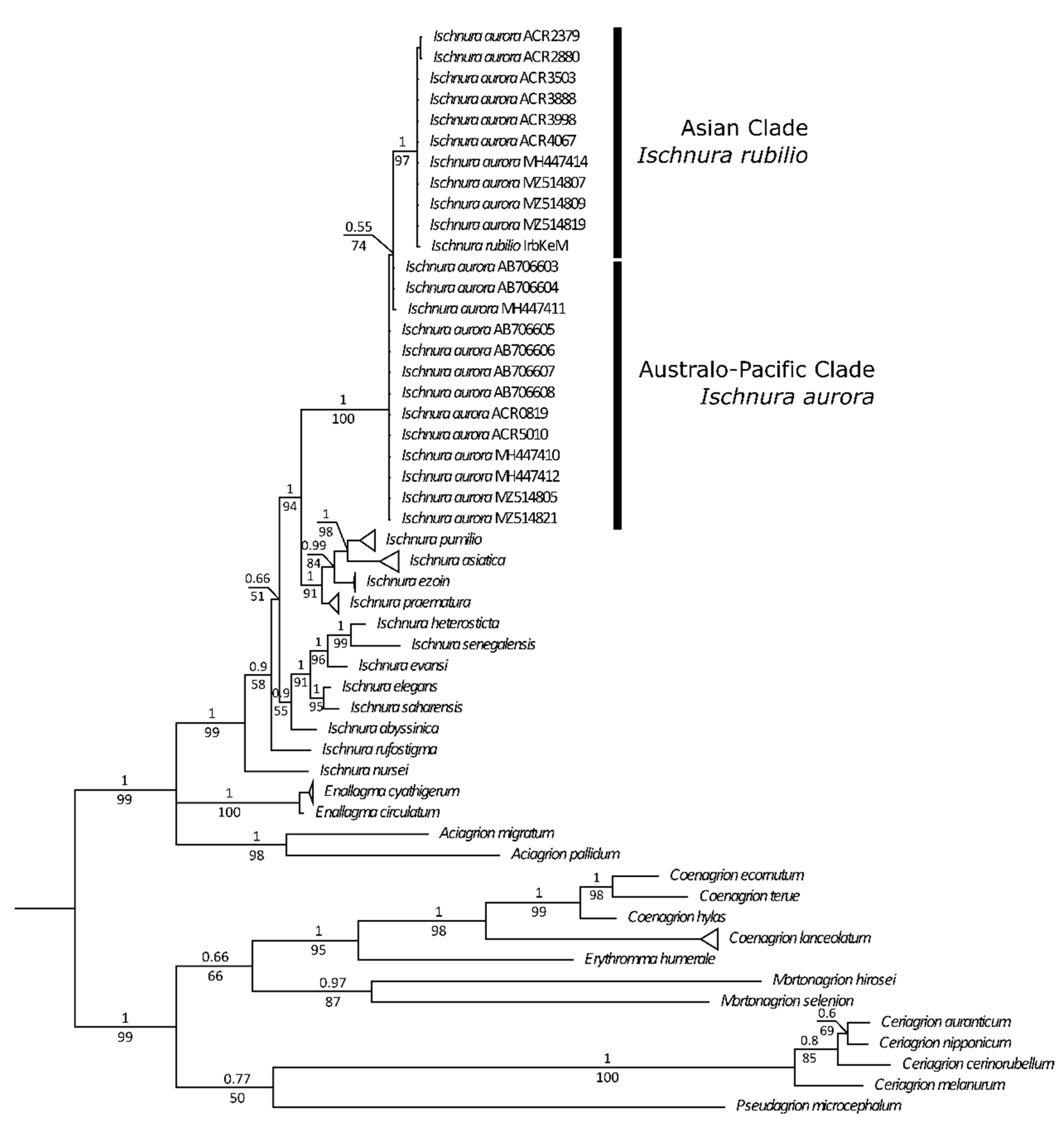 Diversity 14 00606 g003 Diversity 14 00606 g003