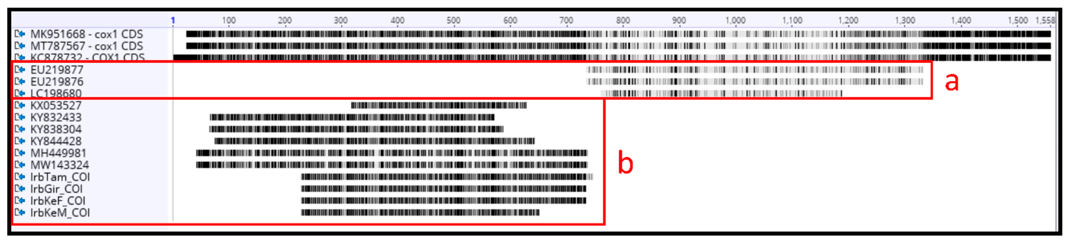Diversity 14 00606 g0a4 Diversity 14 00606 g0a4