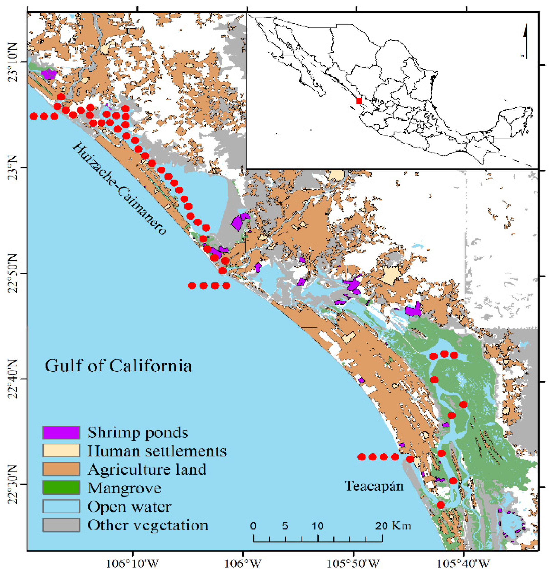 Diversity 14 00619 g001
