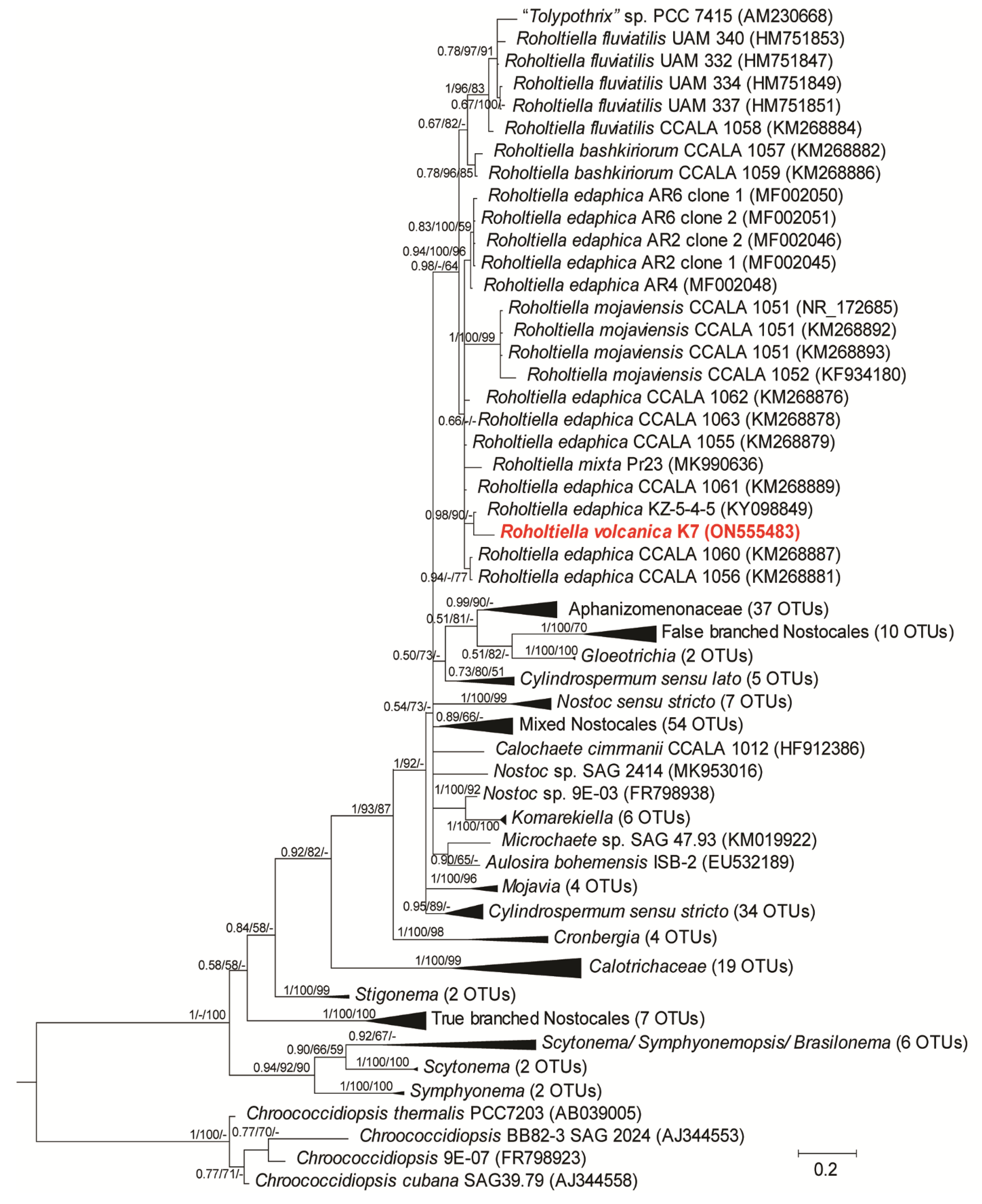 Diversity 14 00620 g002