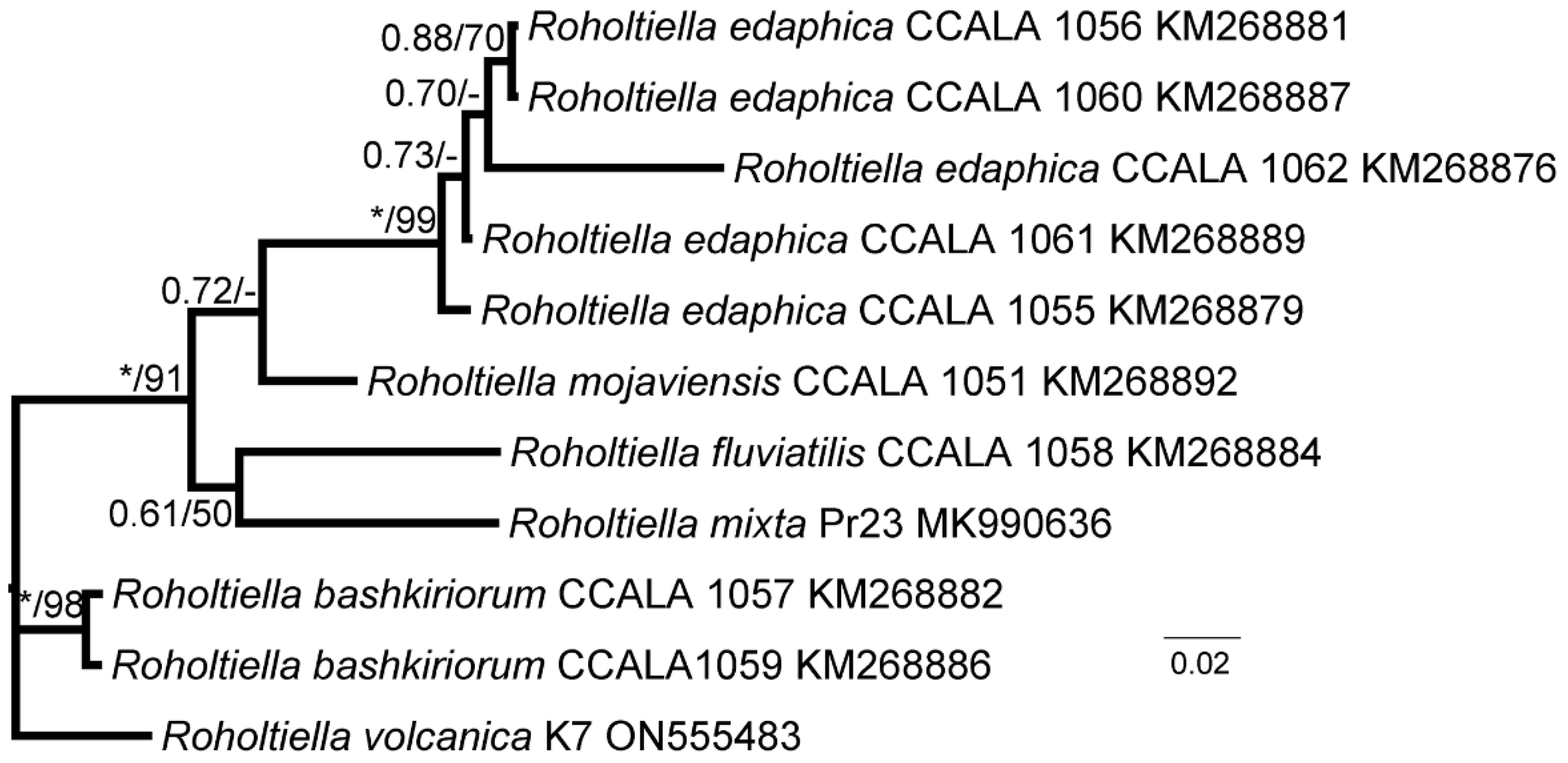 Diversity 14 00620 g003