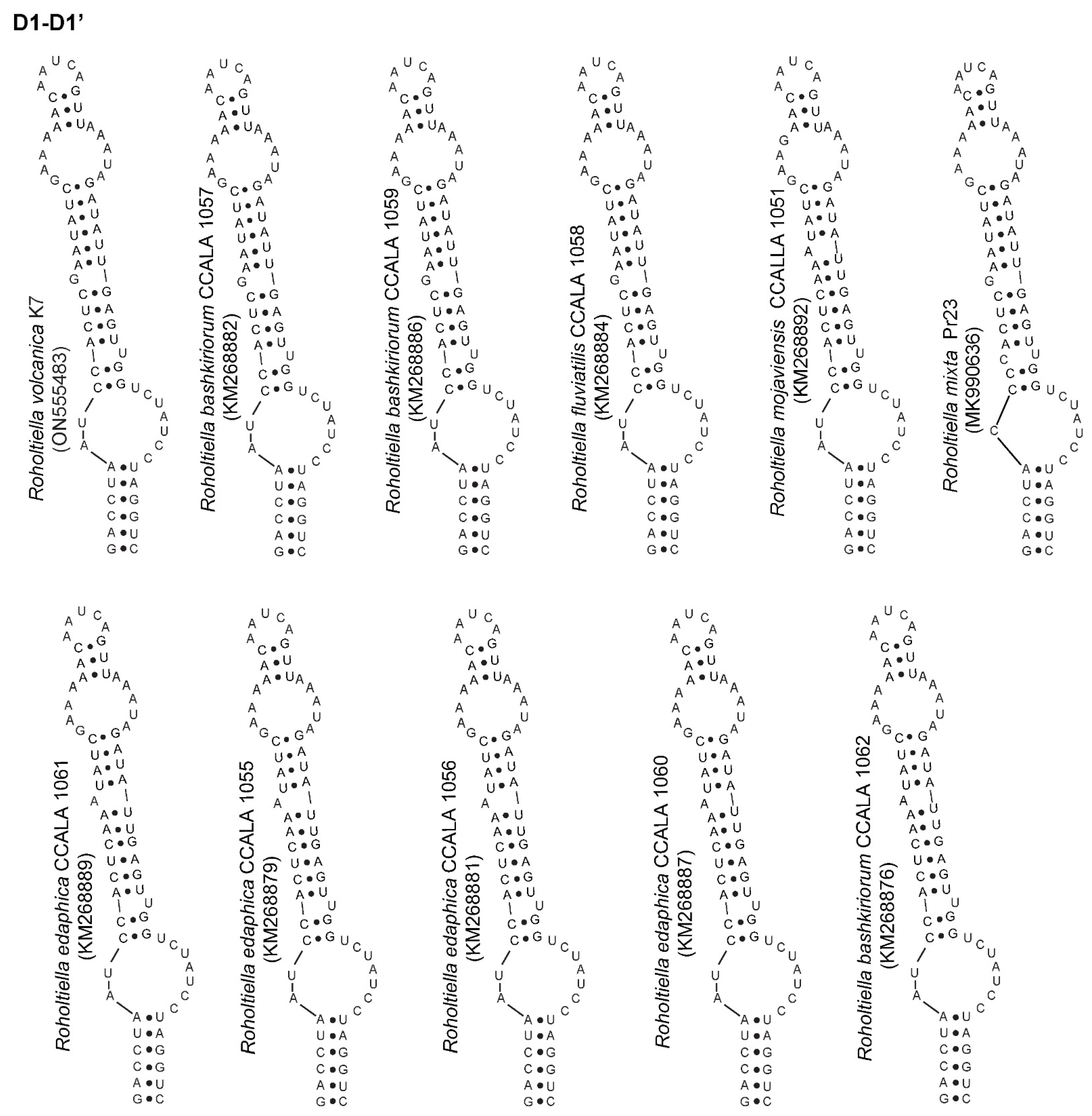 Diversity 14 00620 g004
