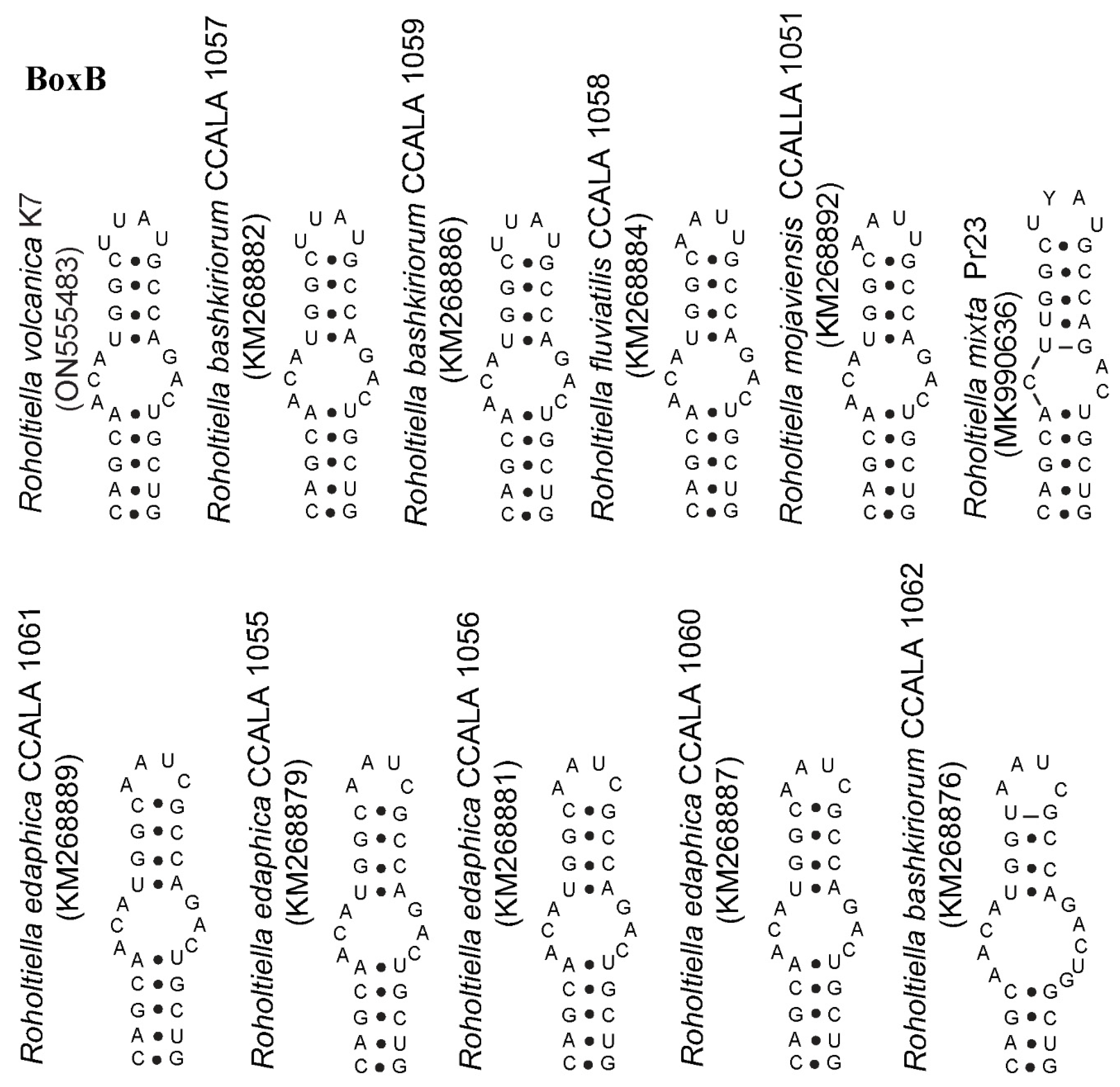 Diversity 14 00620 g005