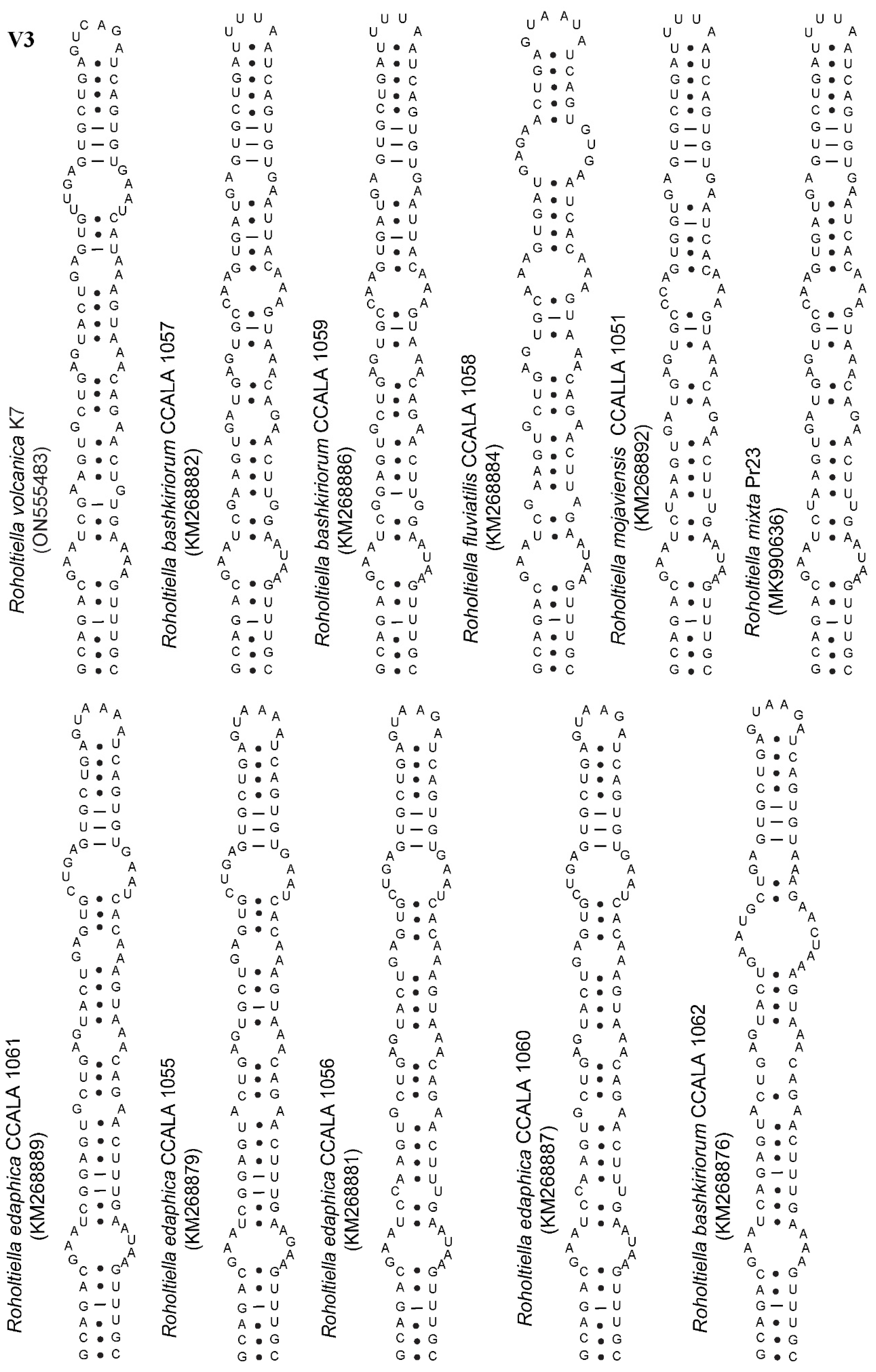 Diversity 14 00620 g006
