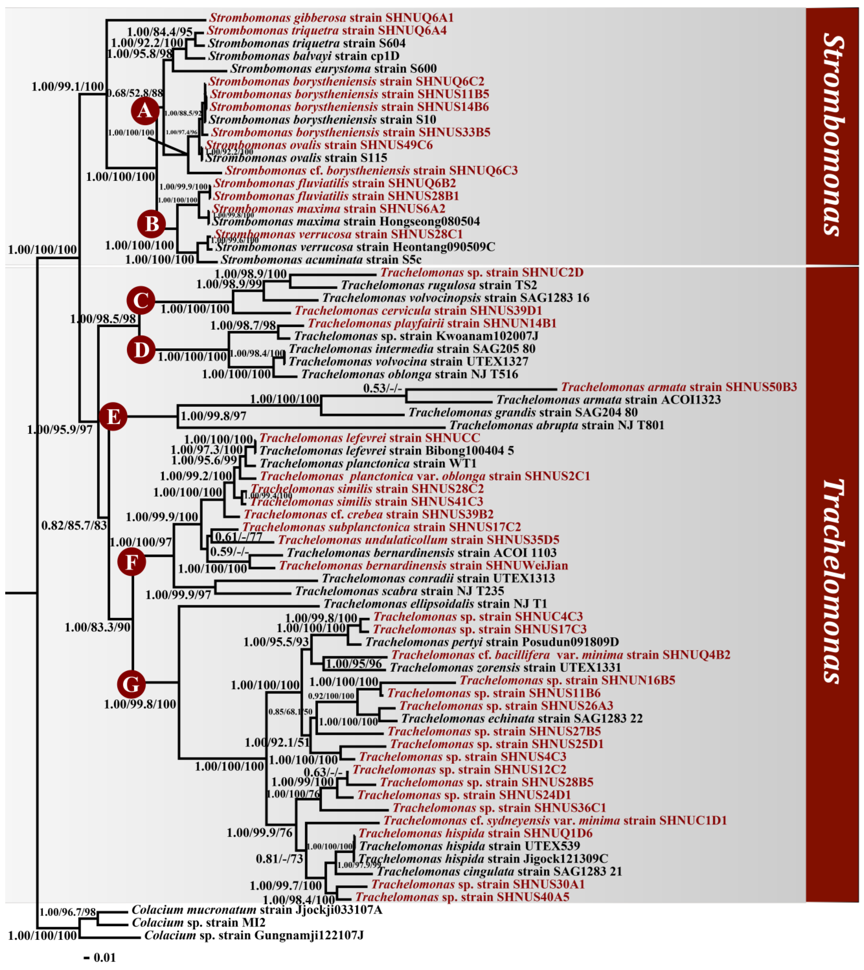Diversity 14 00623 g005