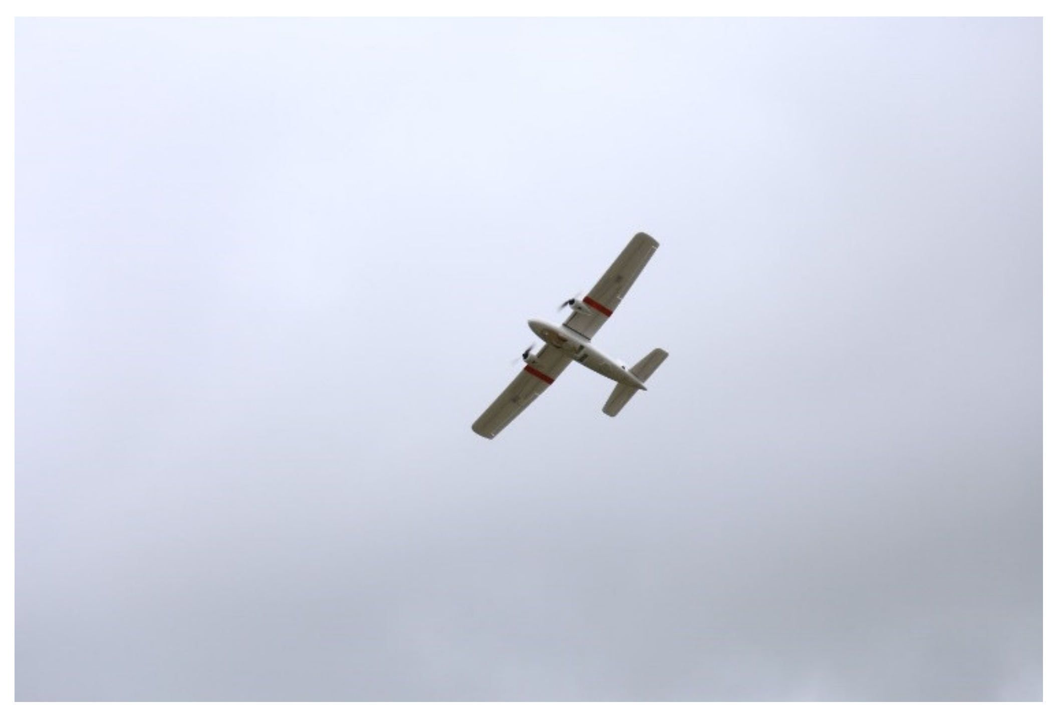 Diversity 14 00624 g001