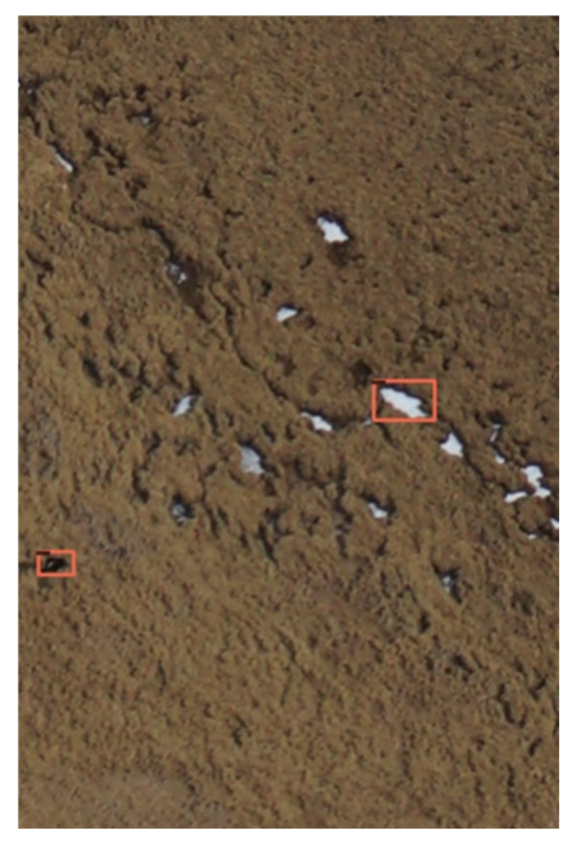 Diversity 14 00624 g008