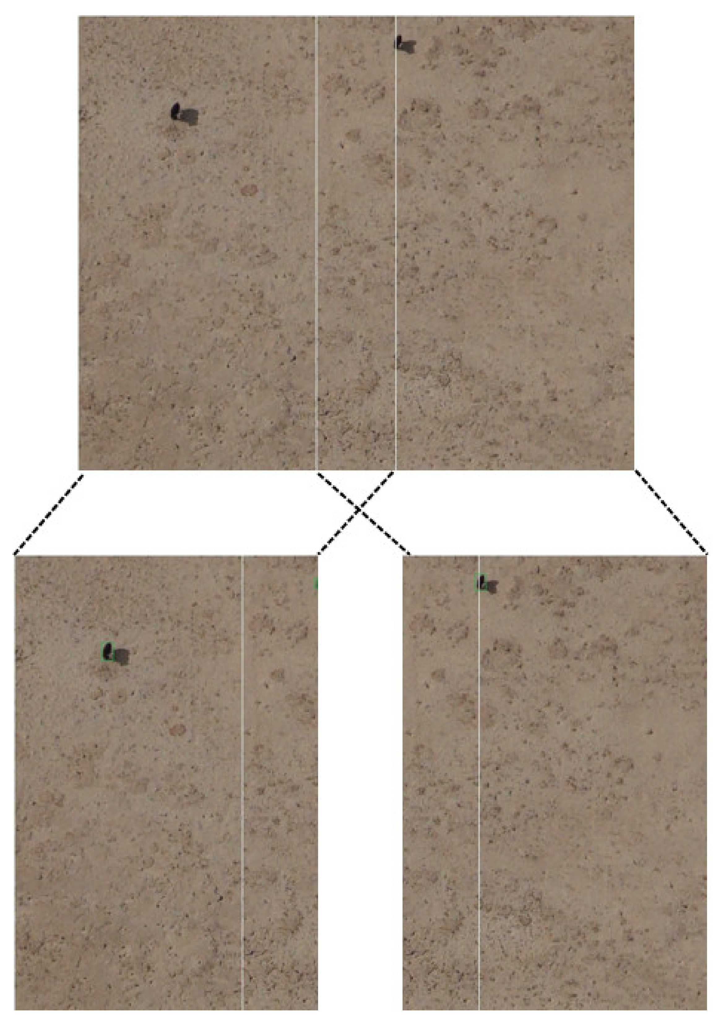 Diversity 14 00624 g010