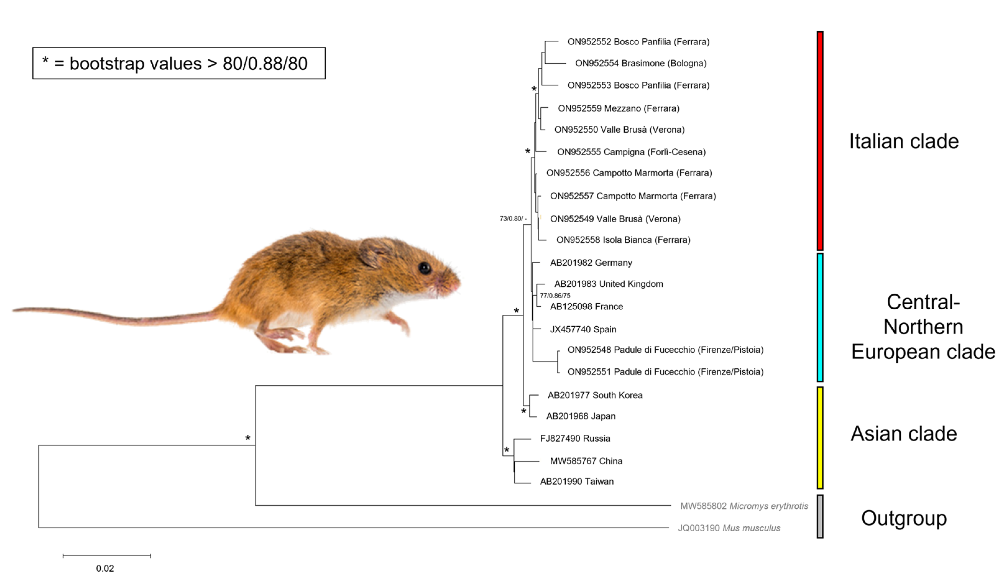 Diversity 14 00627 g002