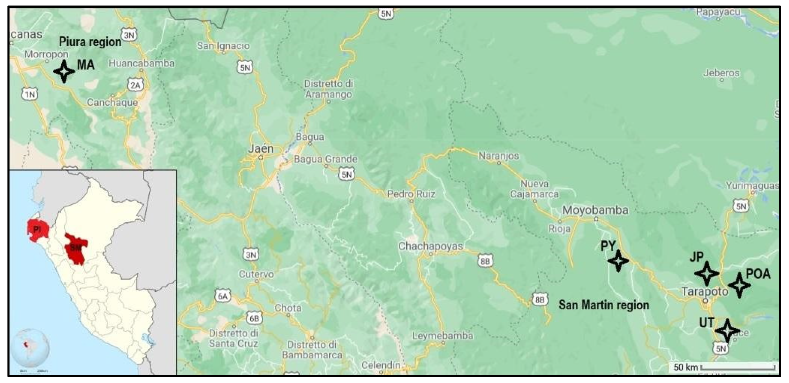 Diversity 14 00632 g001