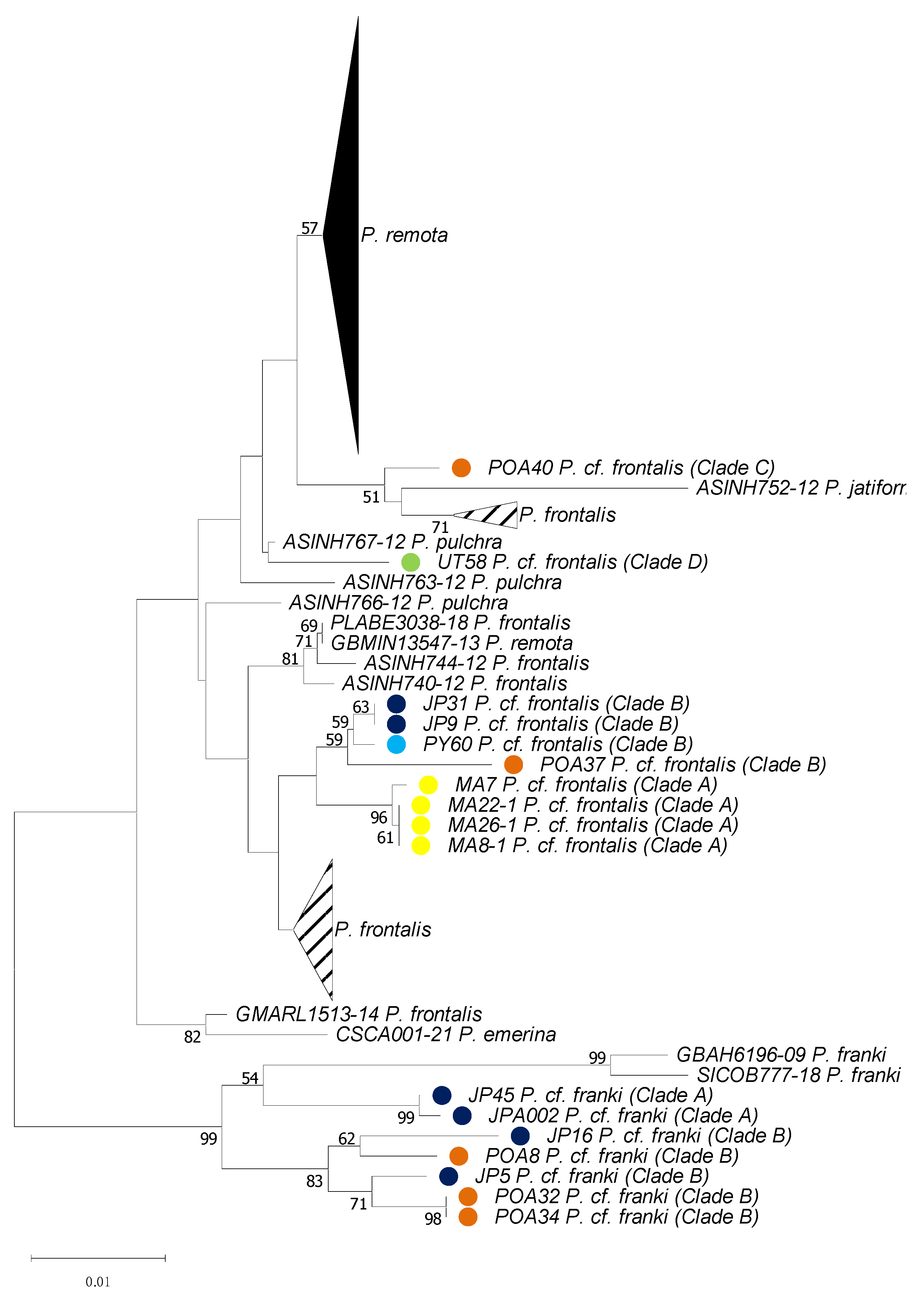 Diversity 14 00632 g004