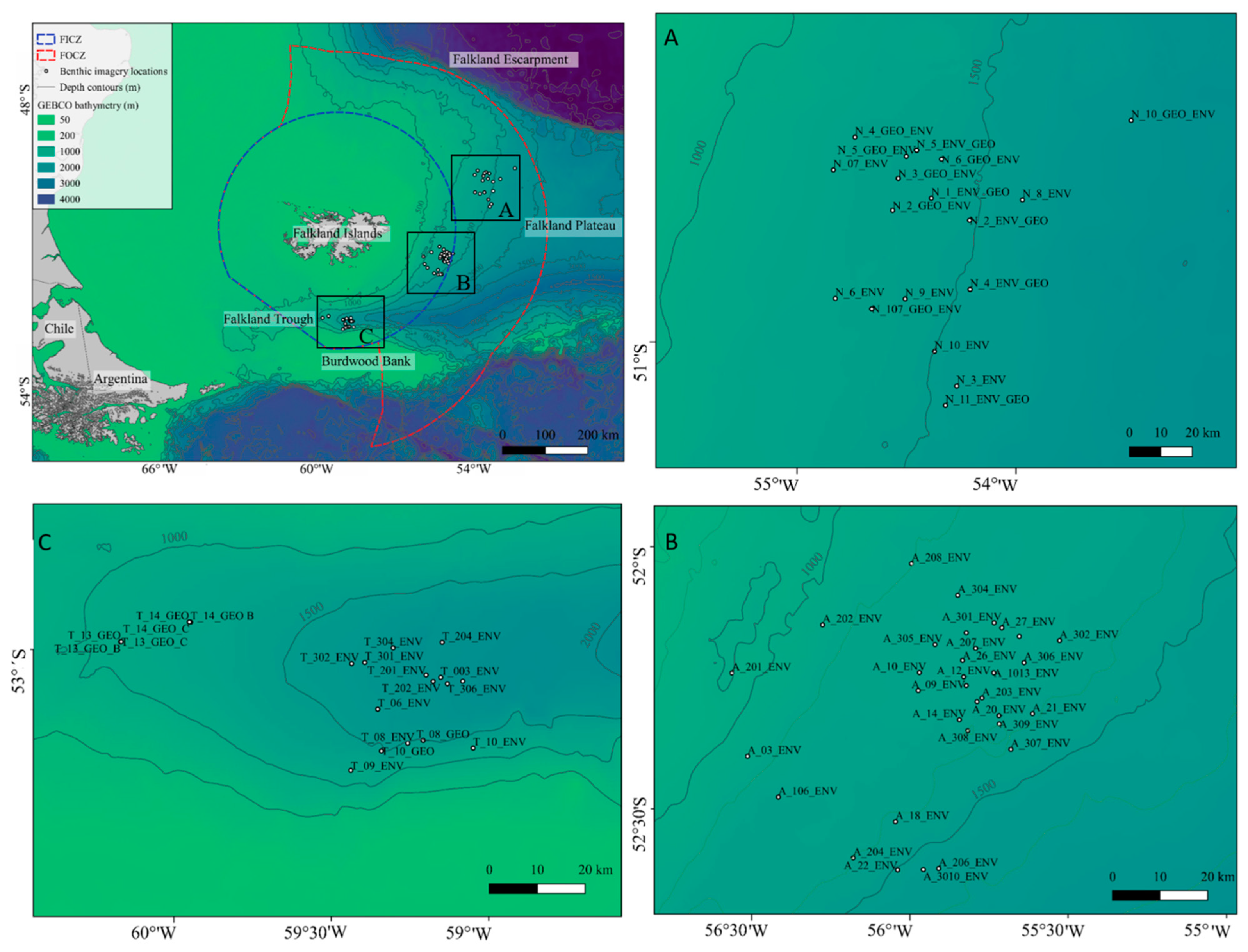 Diversity 14 00637 g001