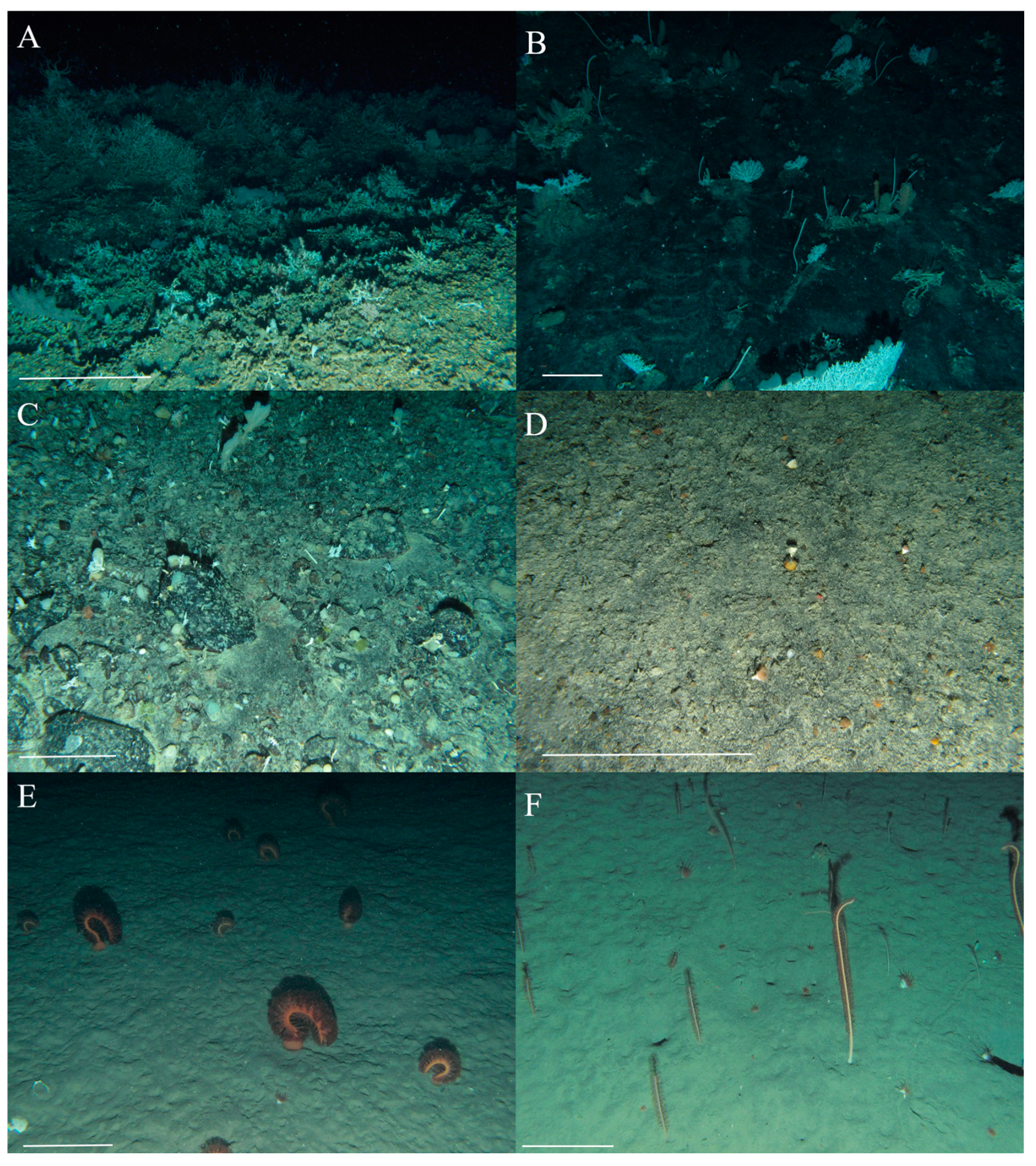 Diversity 14 00637 g002