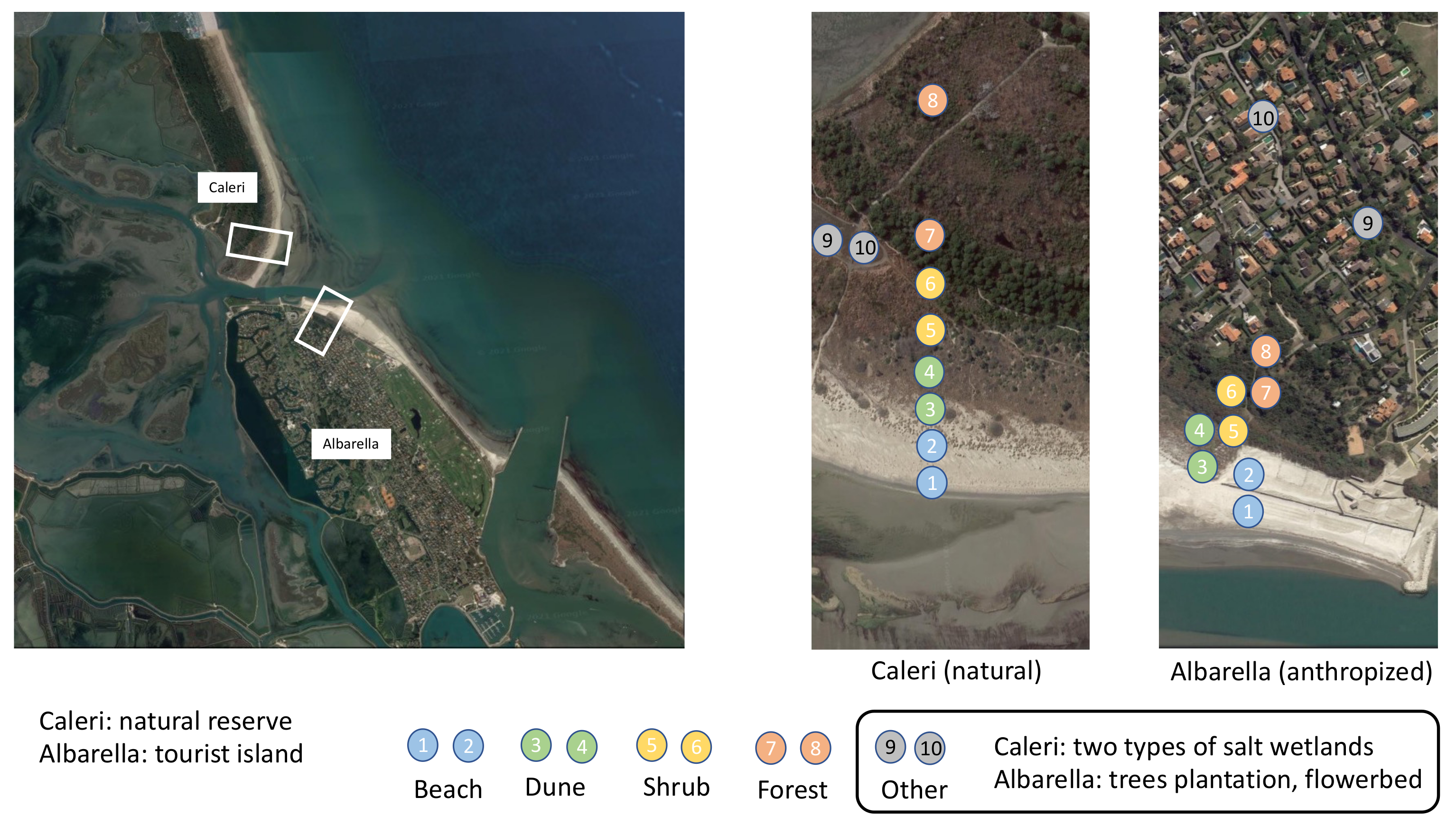 Diversity 14 00638 g001 550