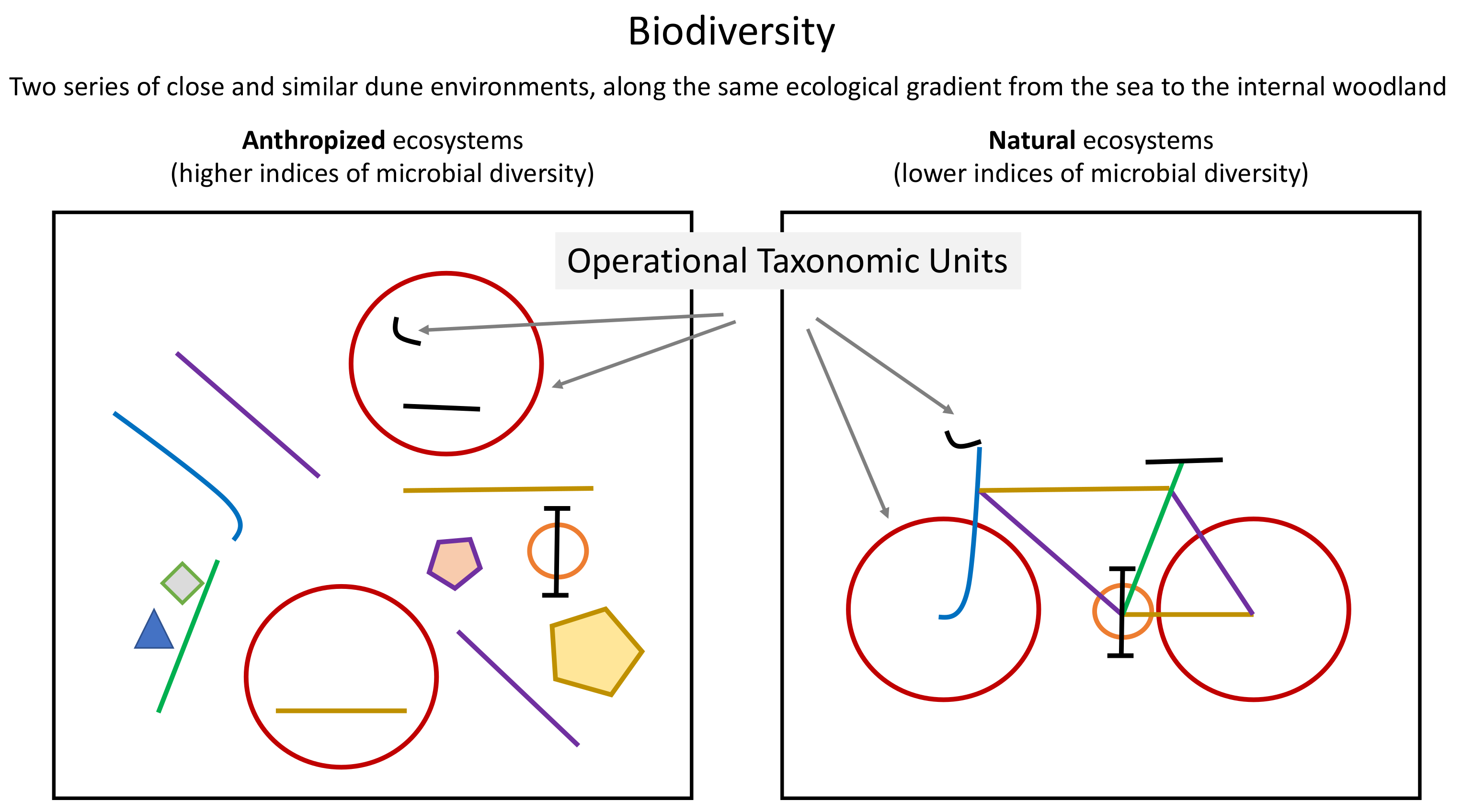 Diversity 14 00638 g013 550