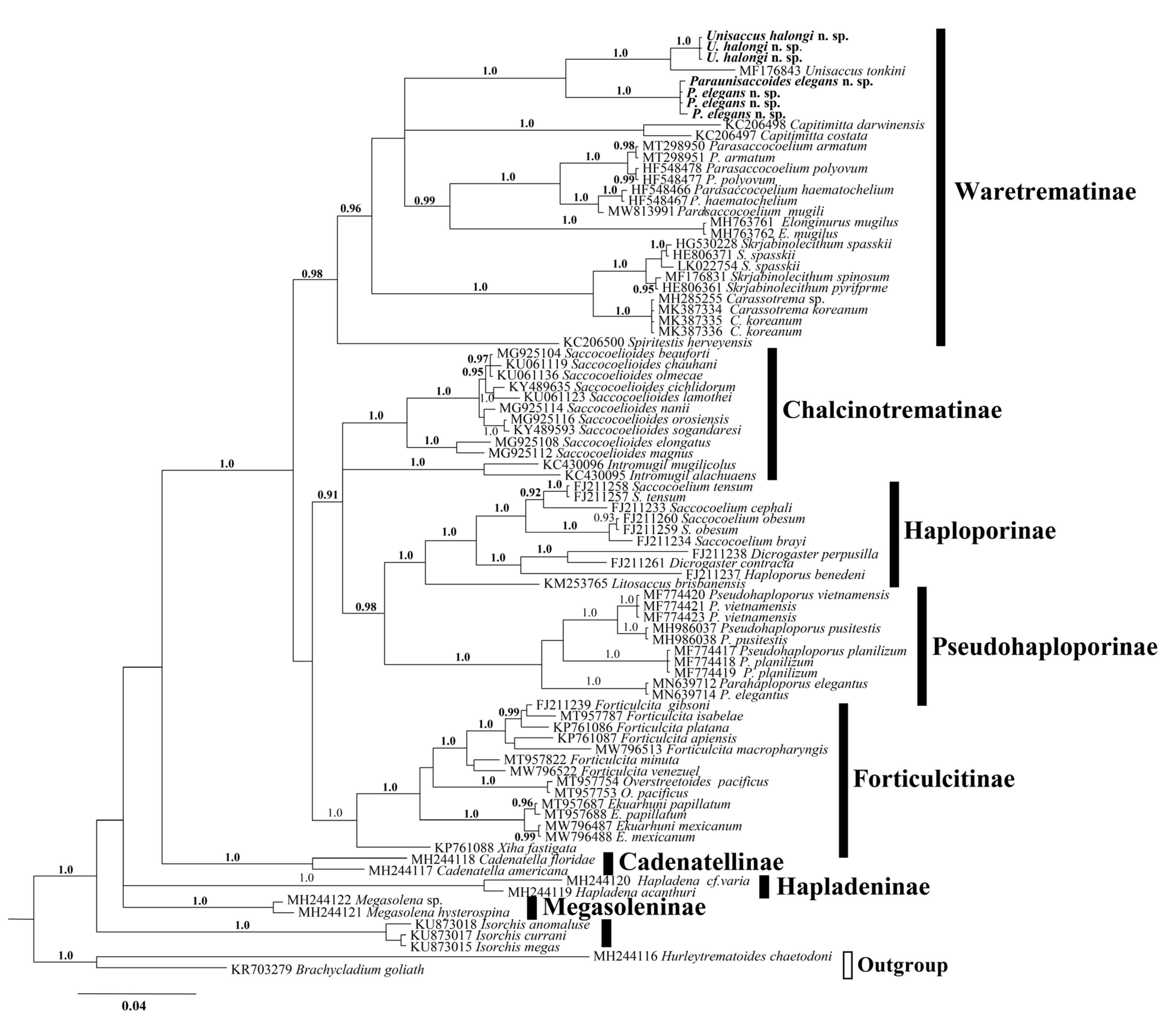 Diversity 14 00639 g002