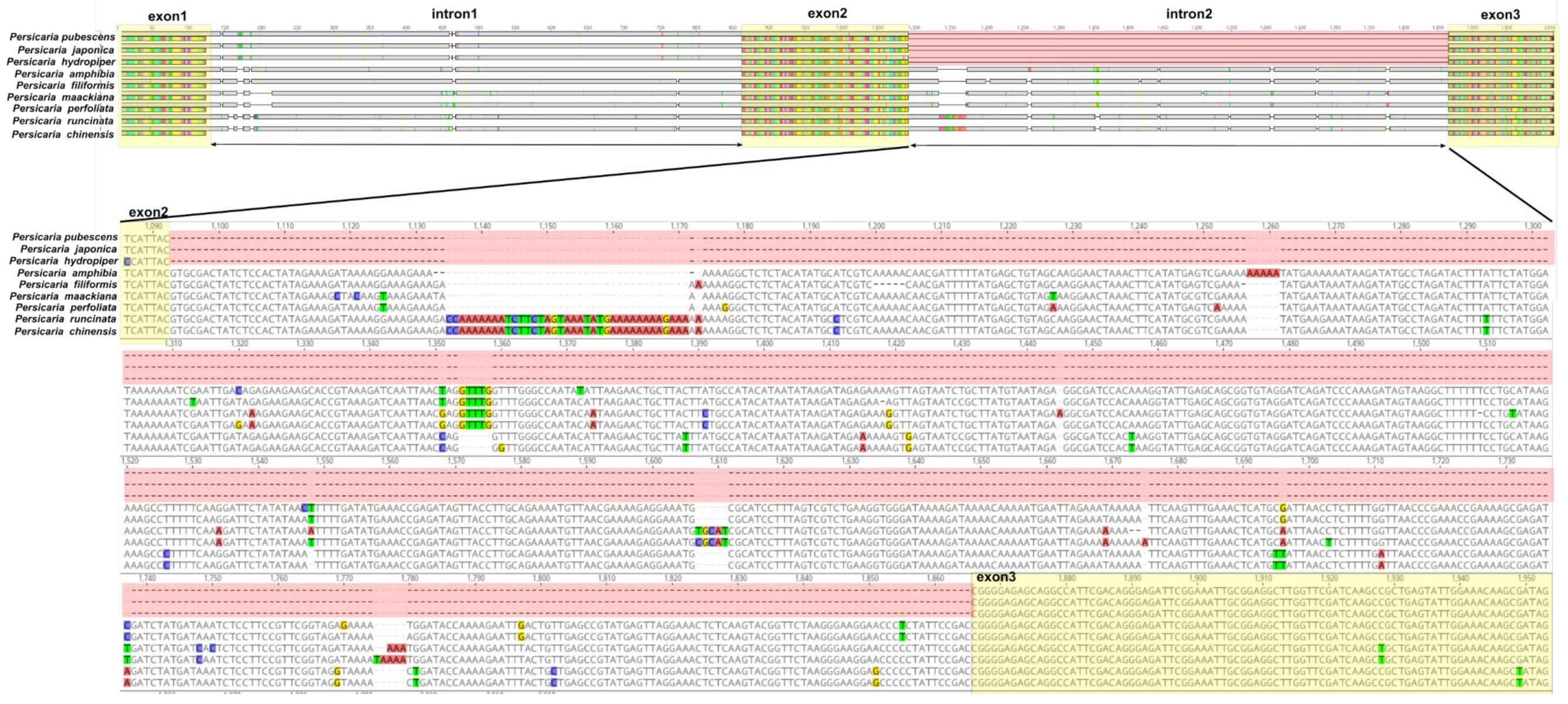Diversity 14 00641 g002 Diversity 14 00641 g002