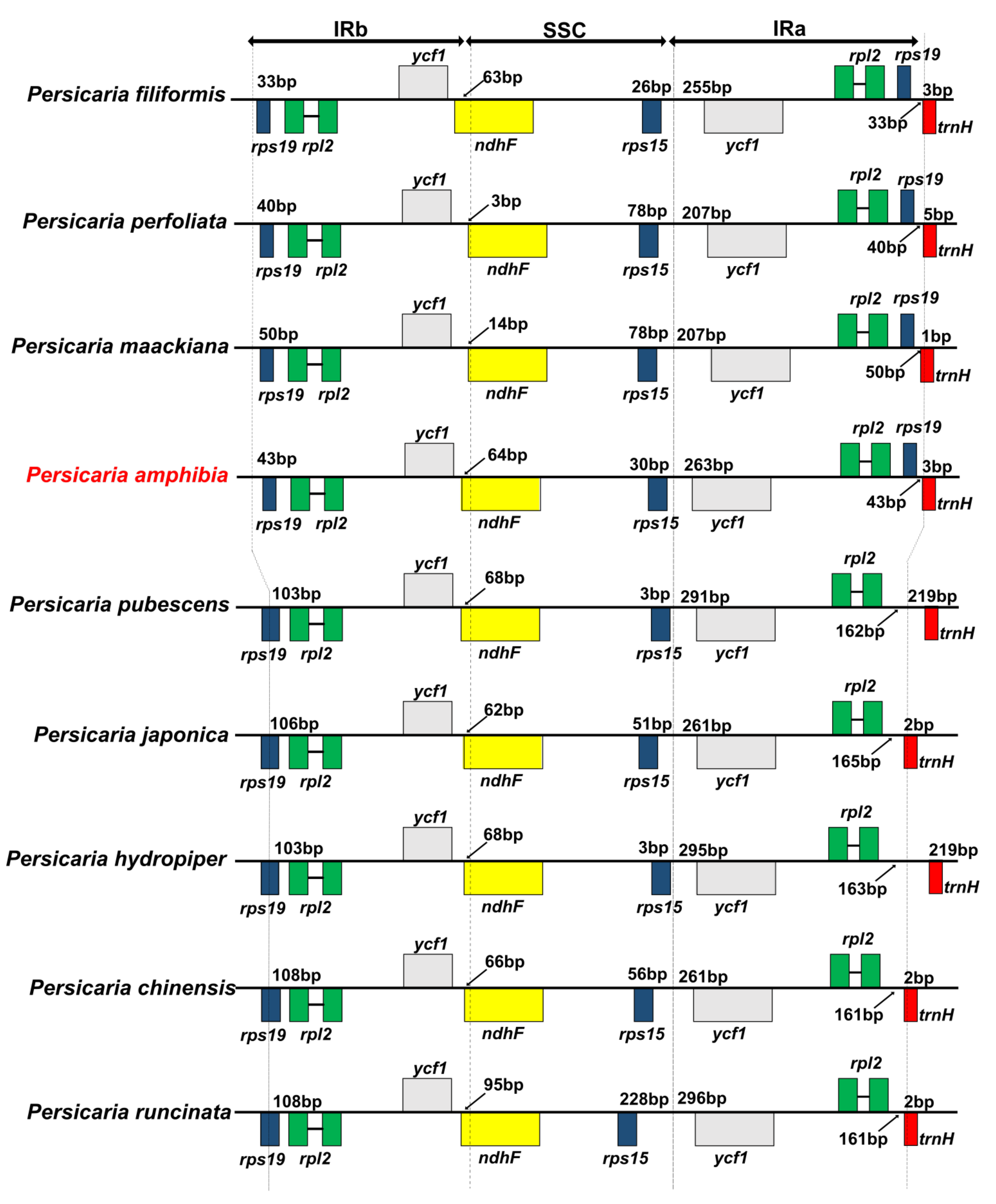 Diversity 14 00641 g003 Diversity 14 00641 g003
