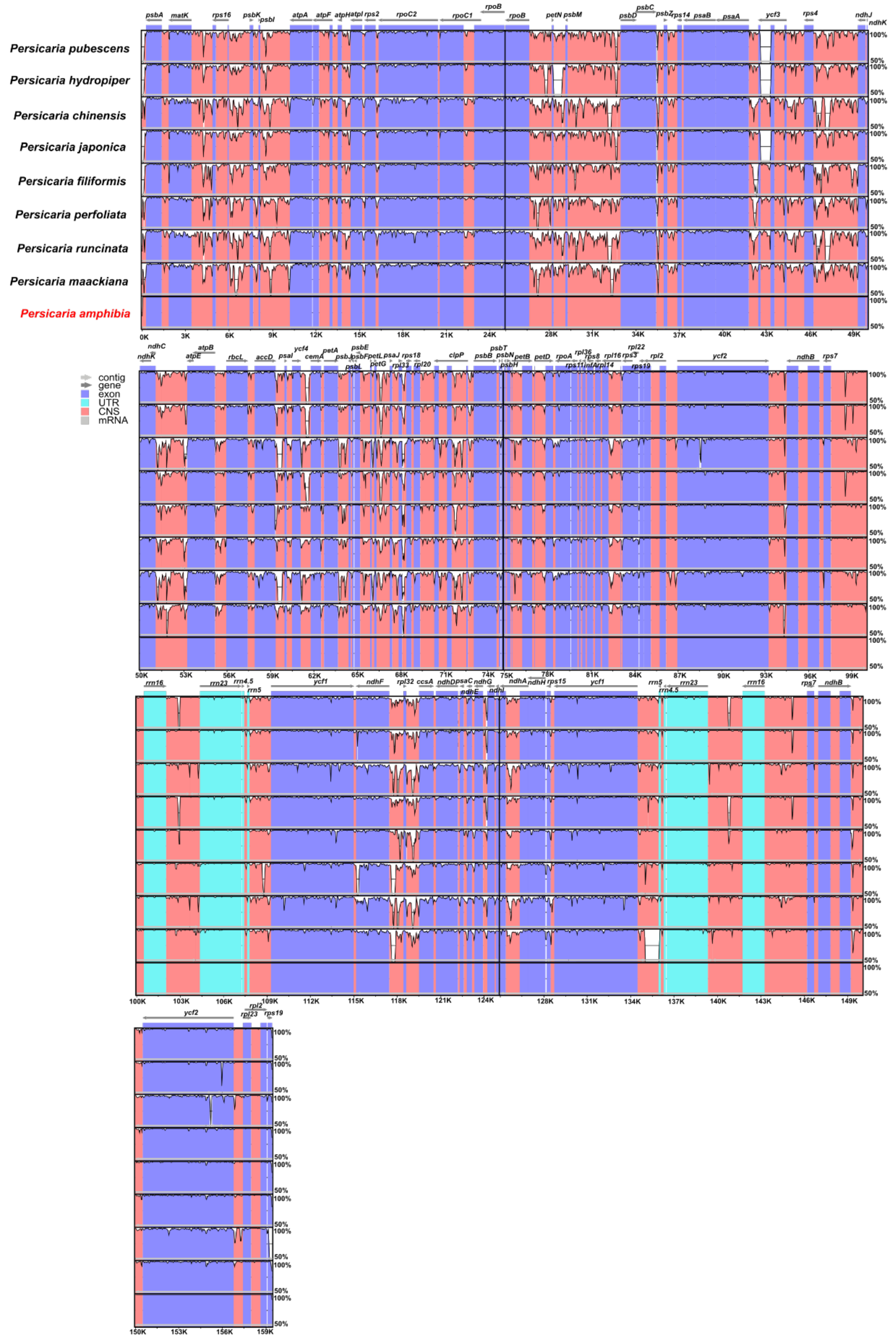 Diversity 14 00641 g005 Diversity 14 00641 g005
