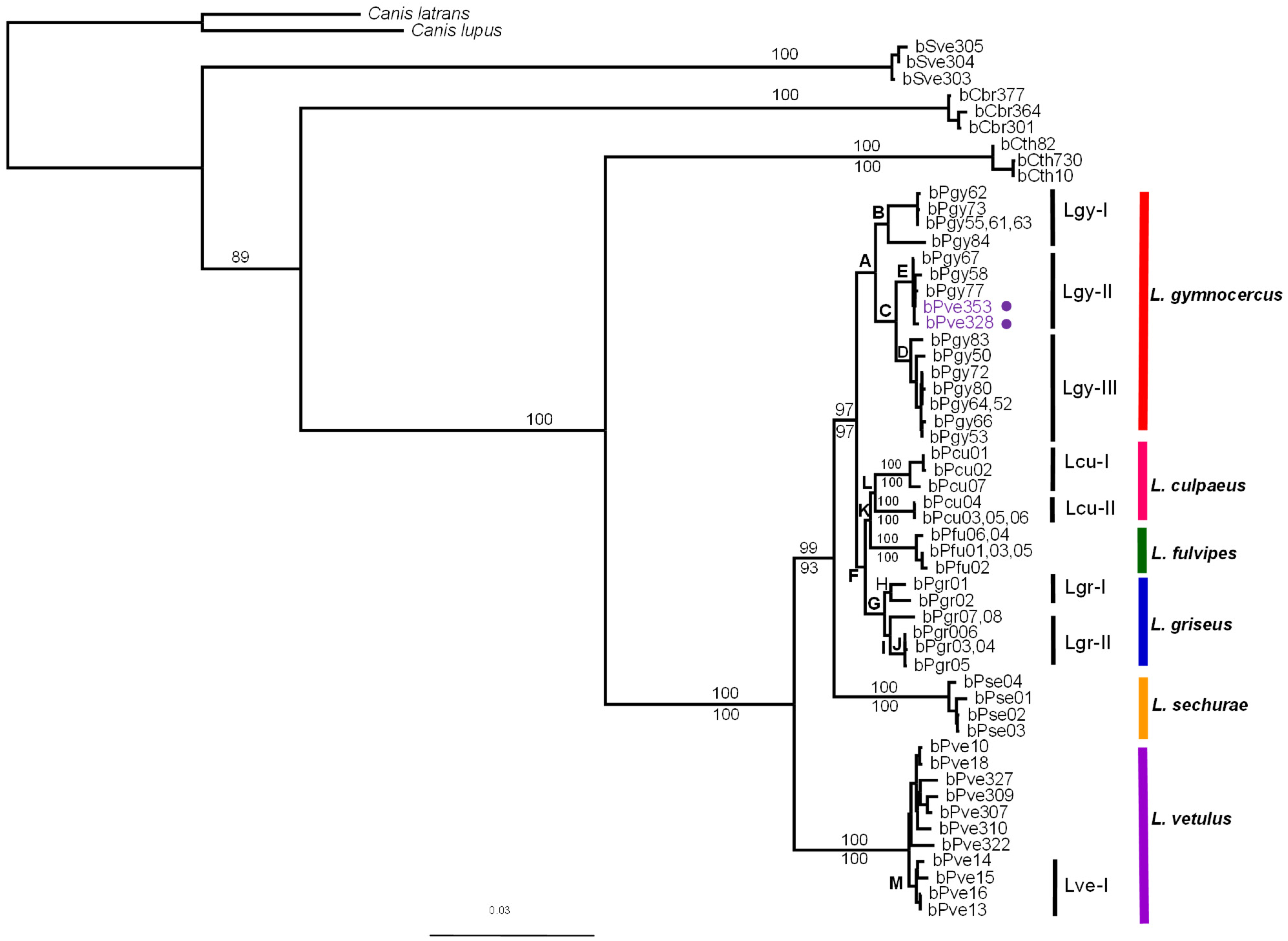 Diversity 14 00642 g002