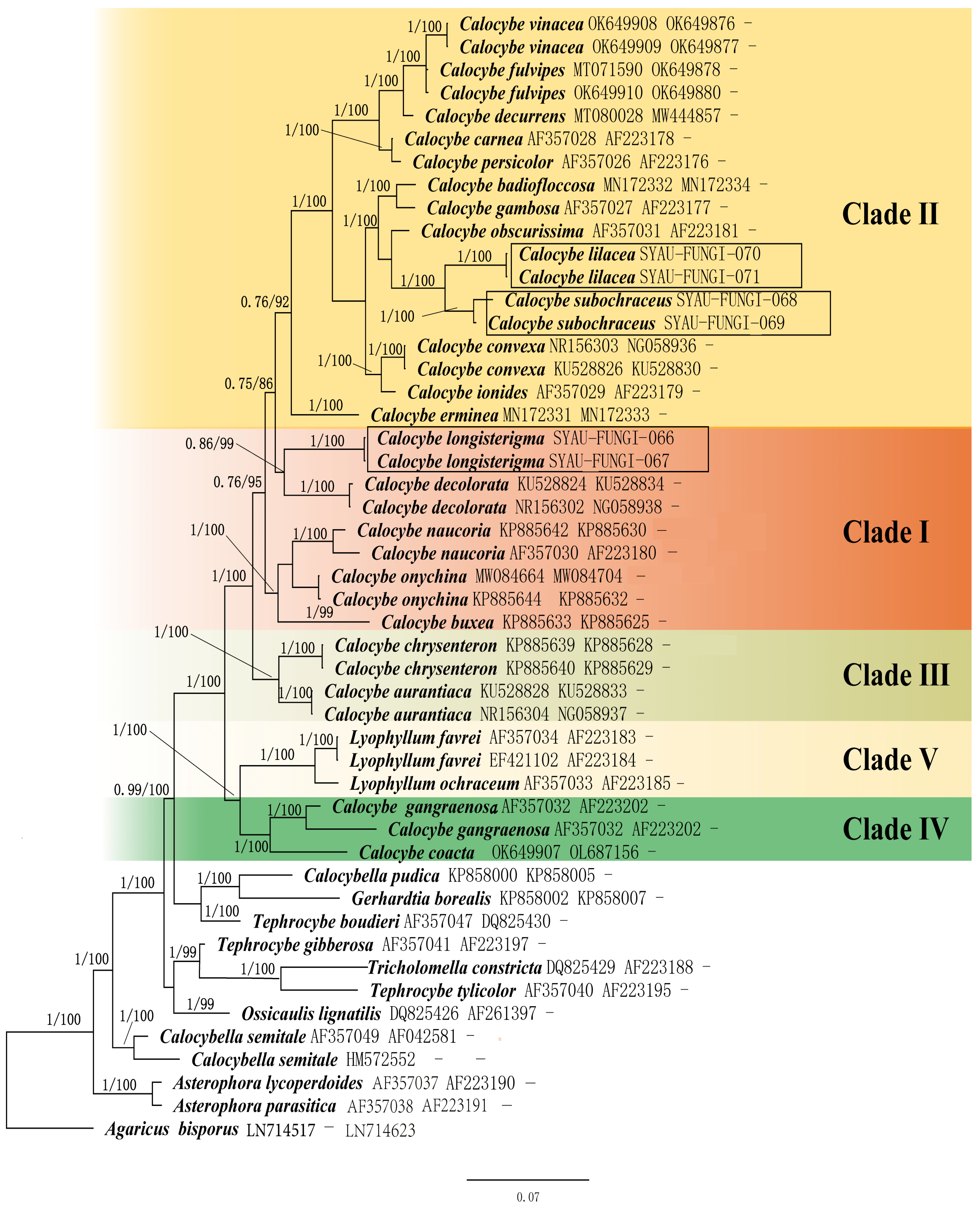 Diversity 14 00643 g001 Diversity 14 00643 g001