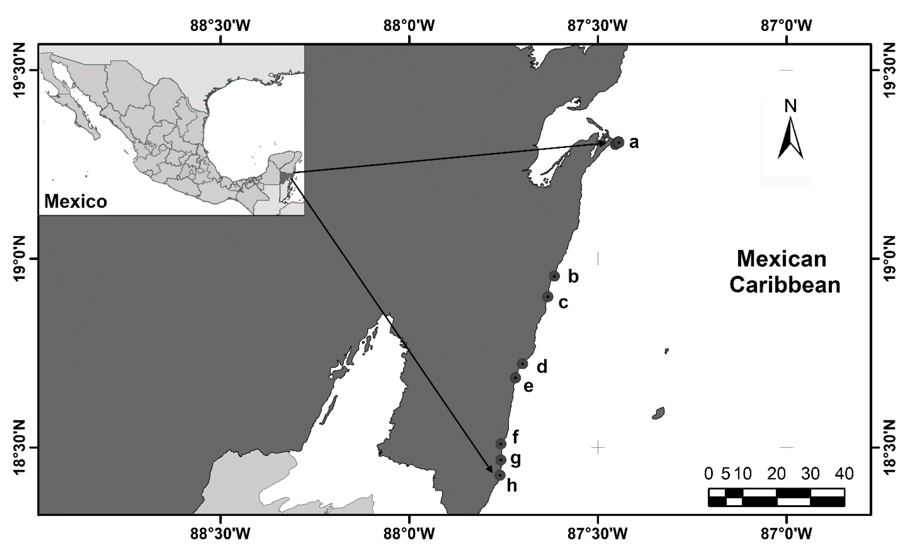 Diversity 14 00649 g001 Diversity 14 00649 g001