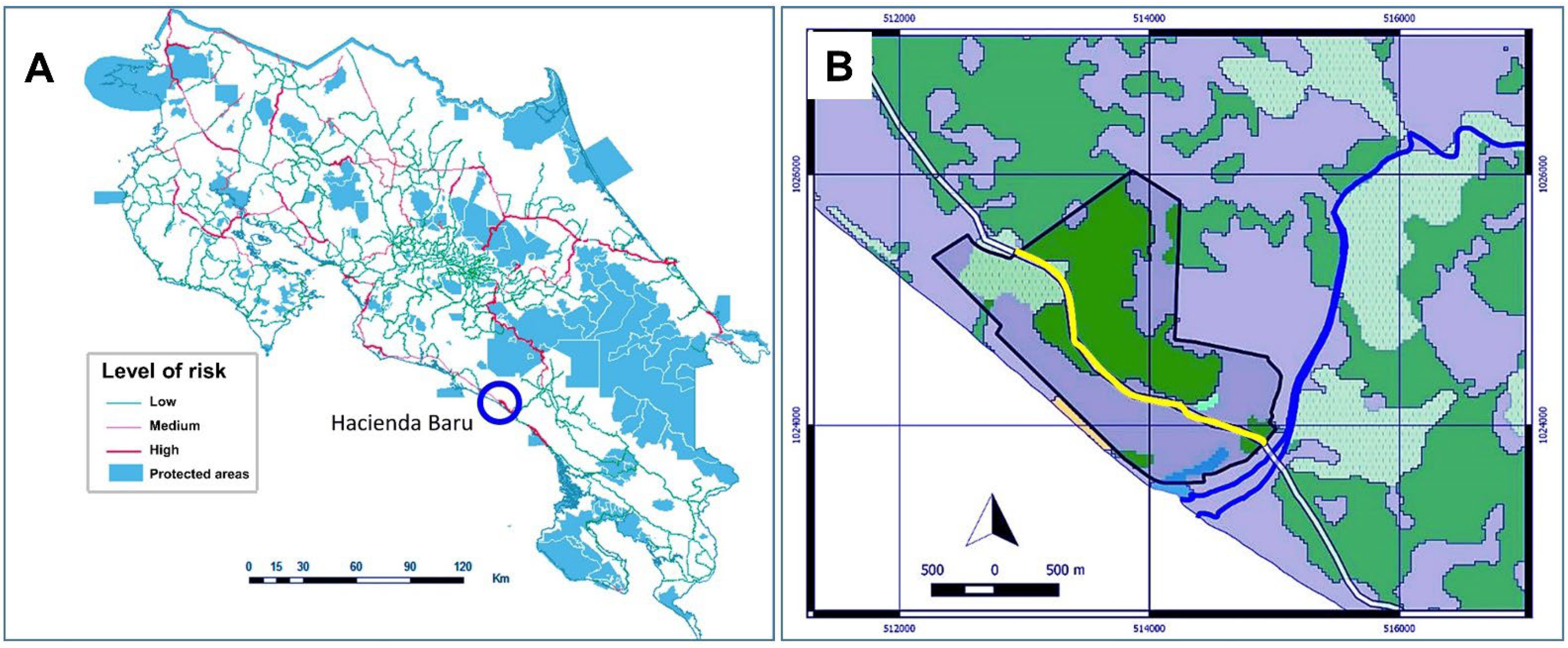 Diversity 14 00665 g001