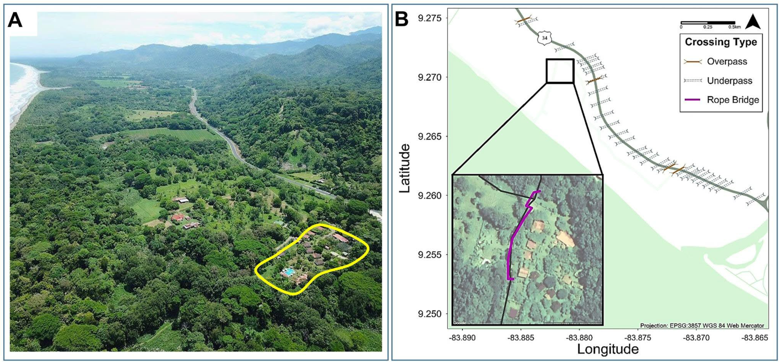 Diversity 14 00665 g002