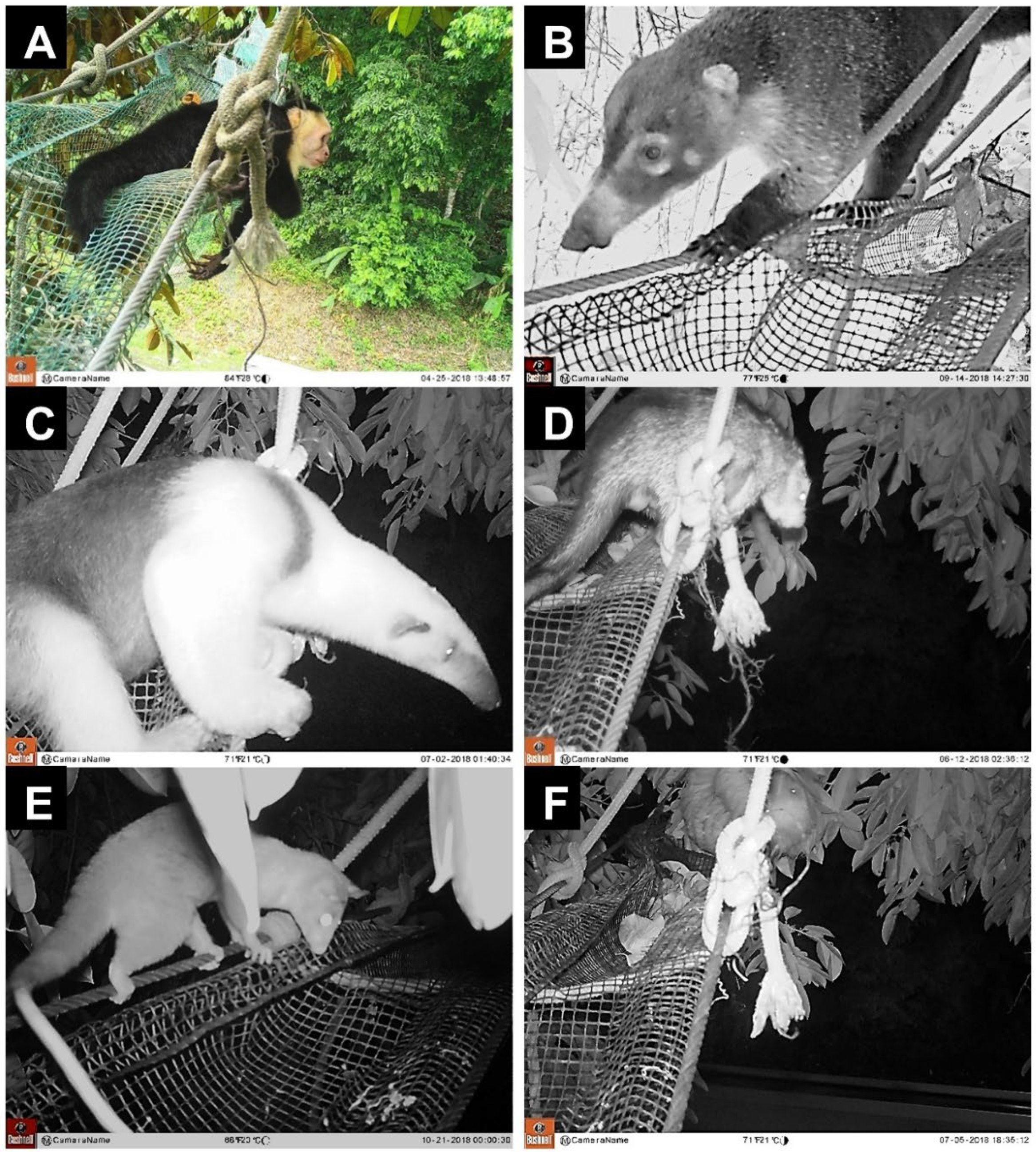 Diversity 14 00665 g007