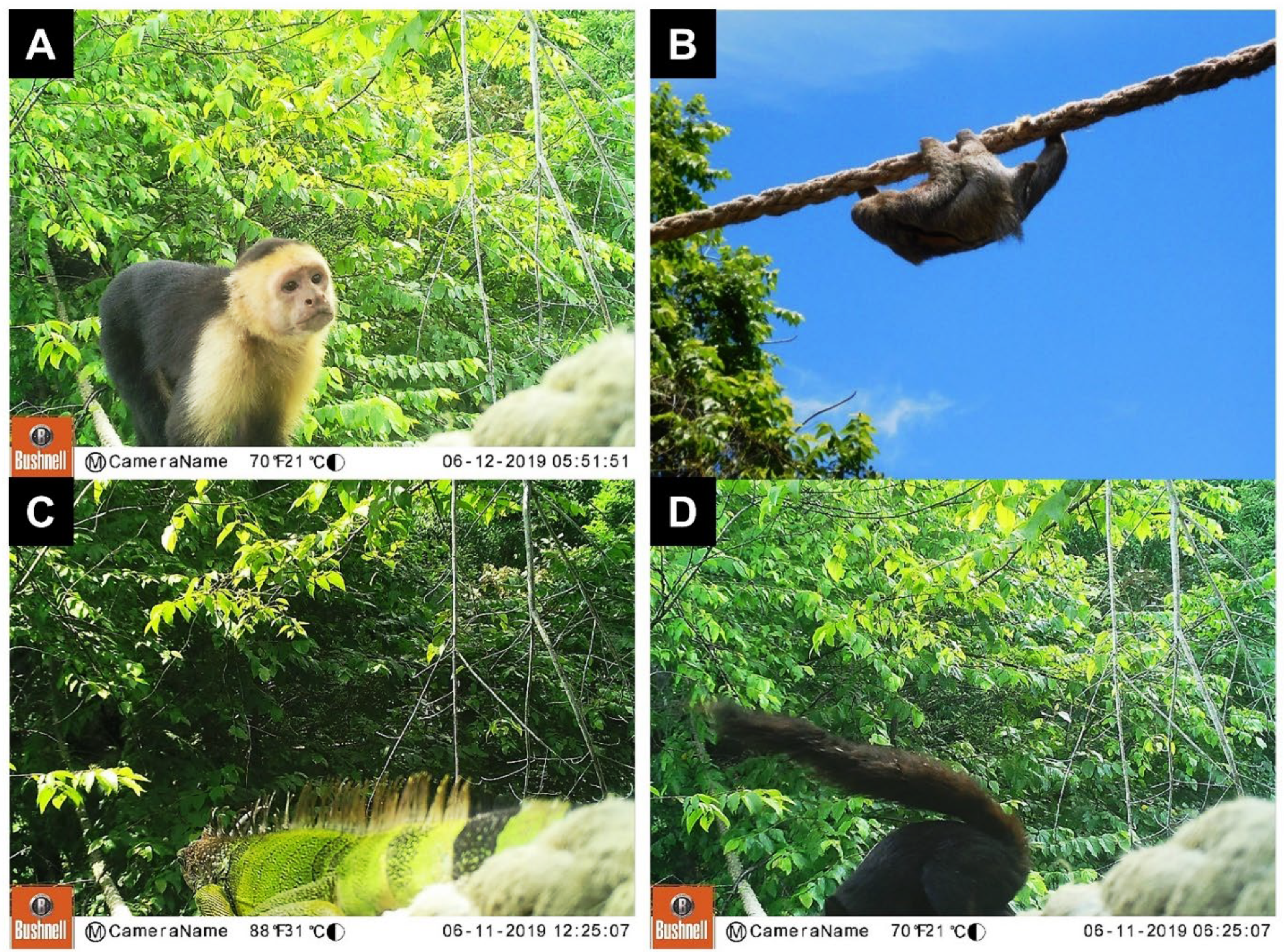 Diversity 14 00665 g008