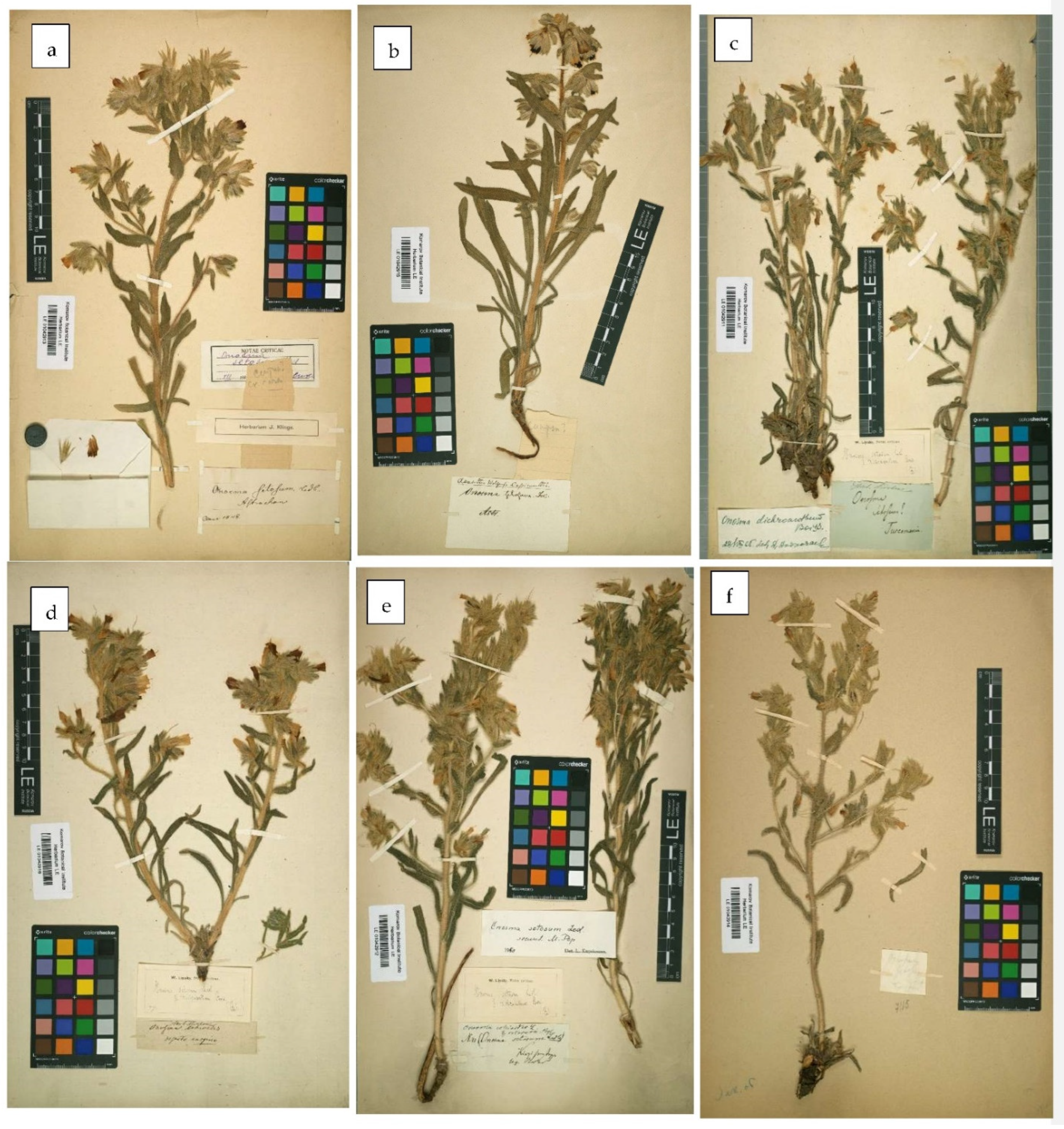 Diversity 14 00671 g003