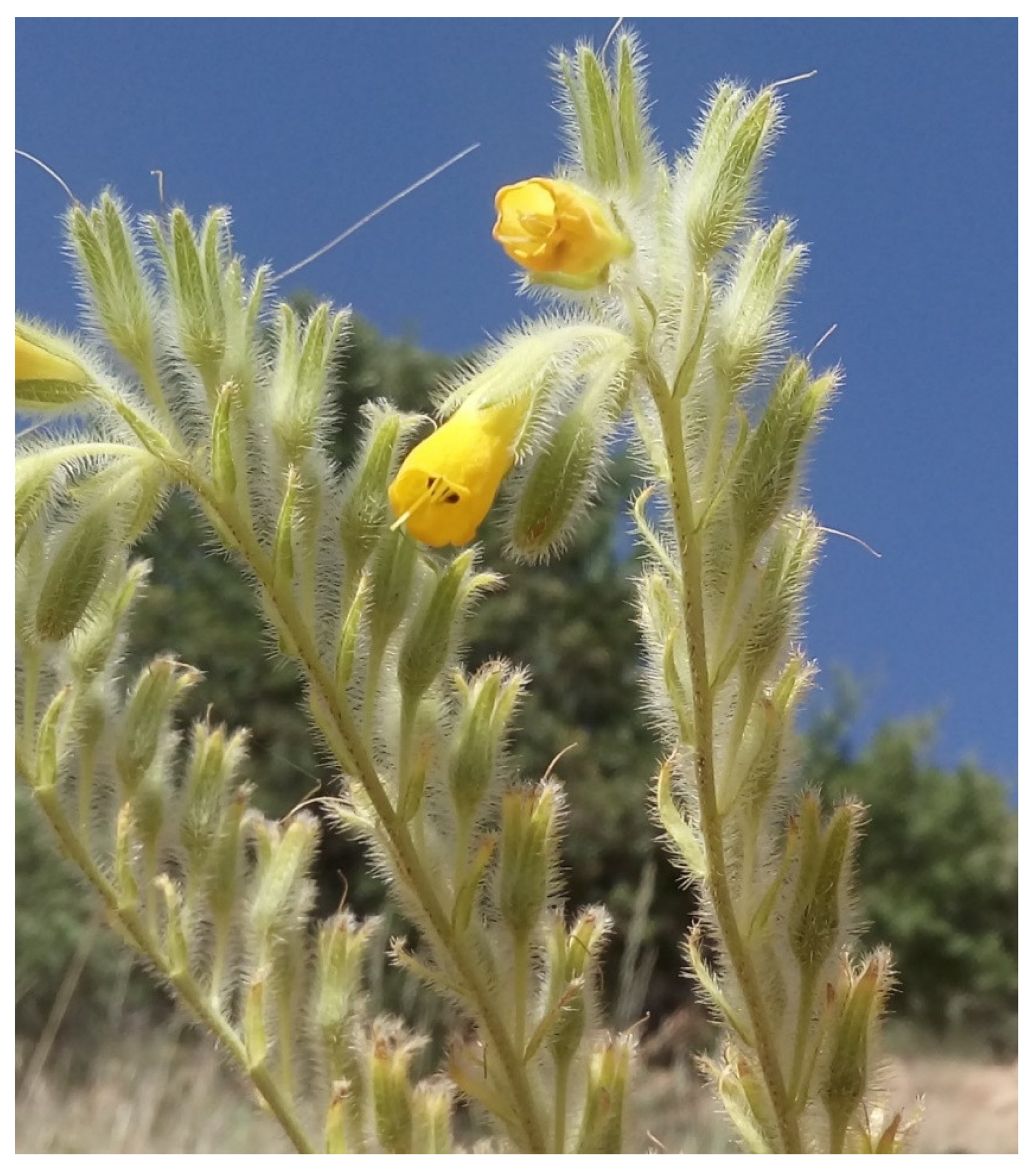 Diversity 14 00671 g005